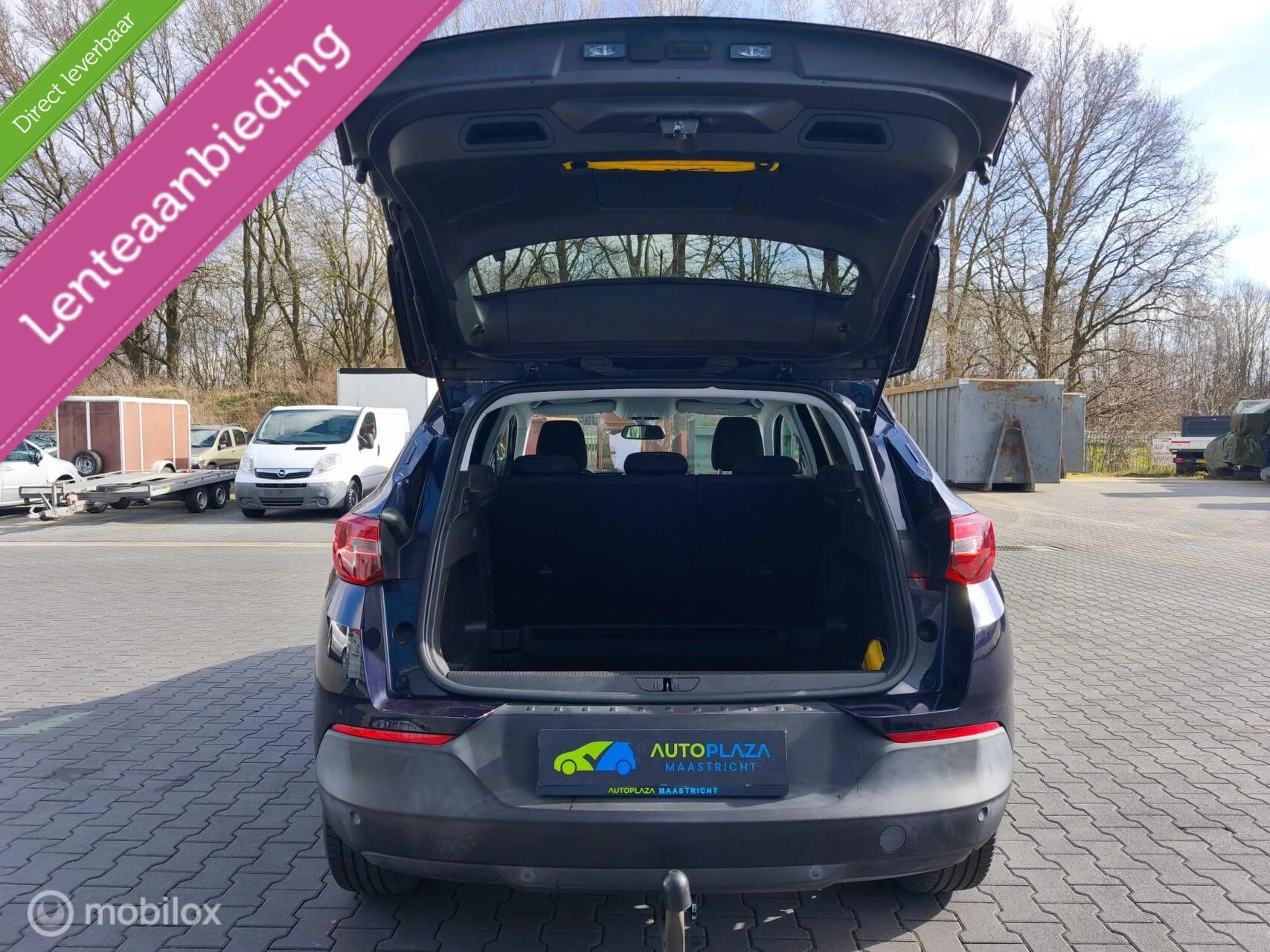 Hoofdafbeelding Opel Grandland X