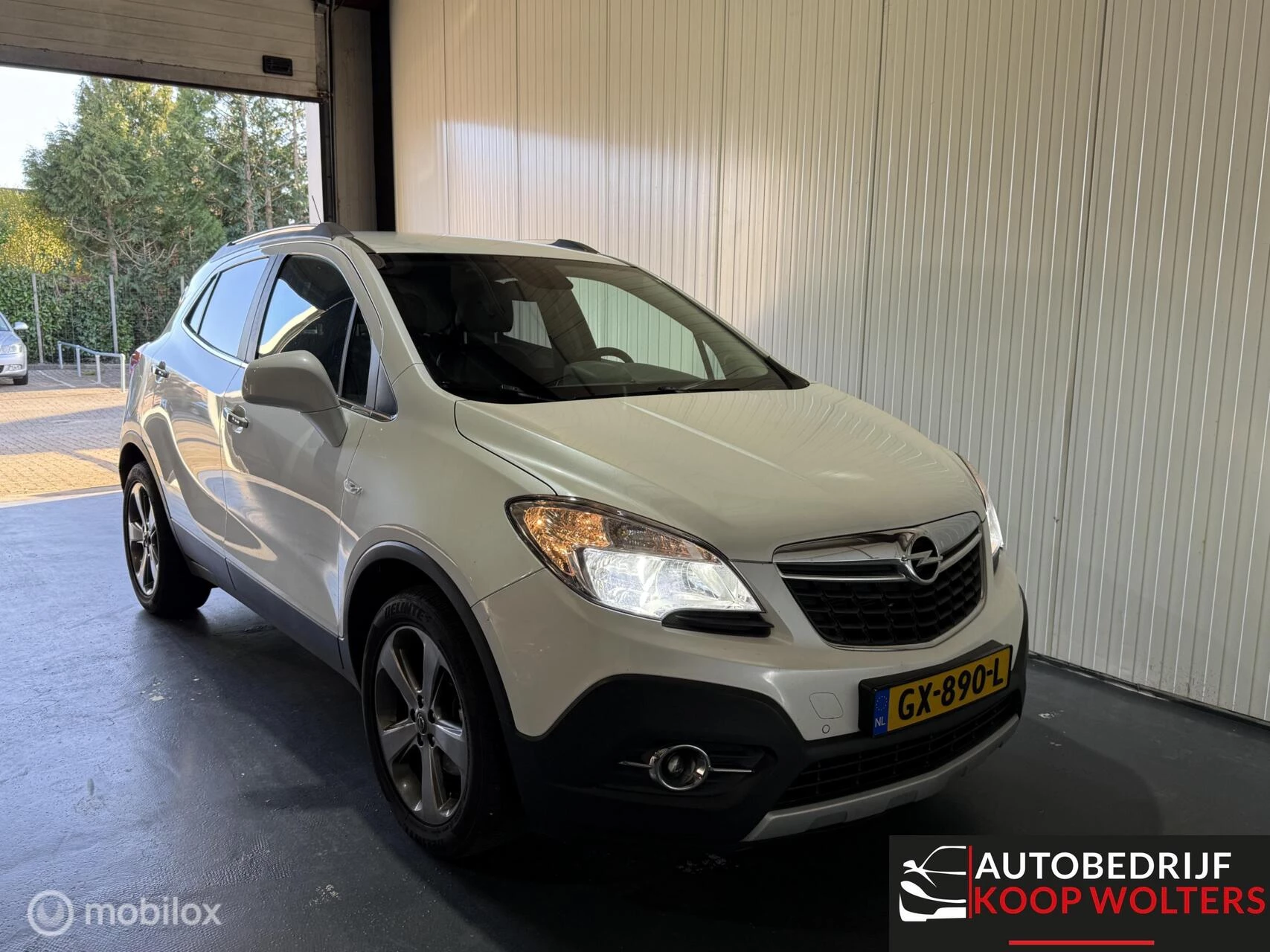 Hoofdafbeelding Opel Mokka