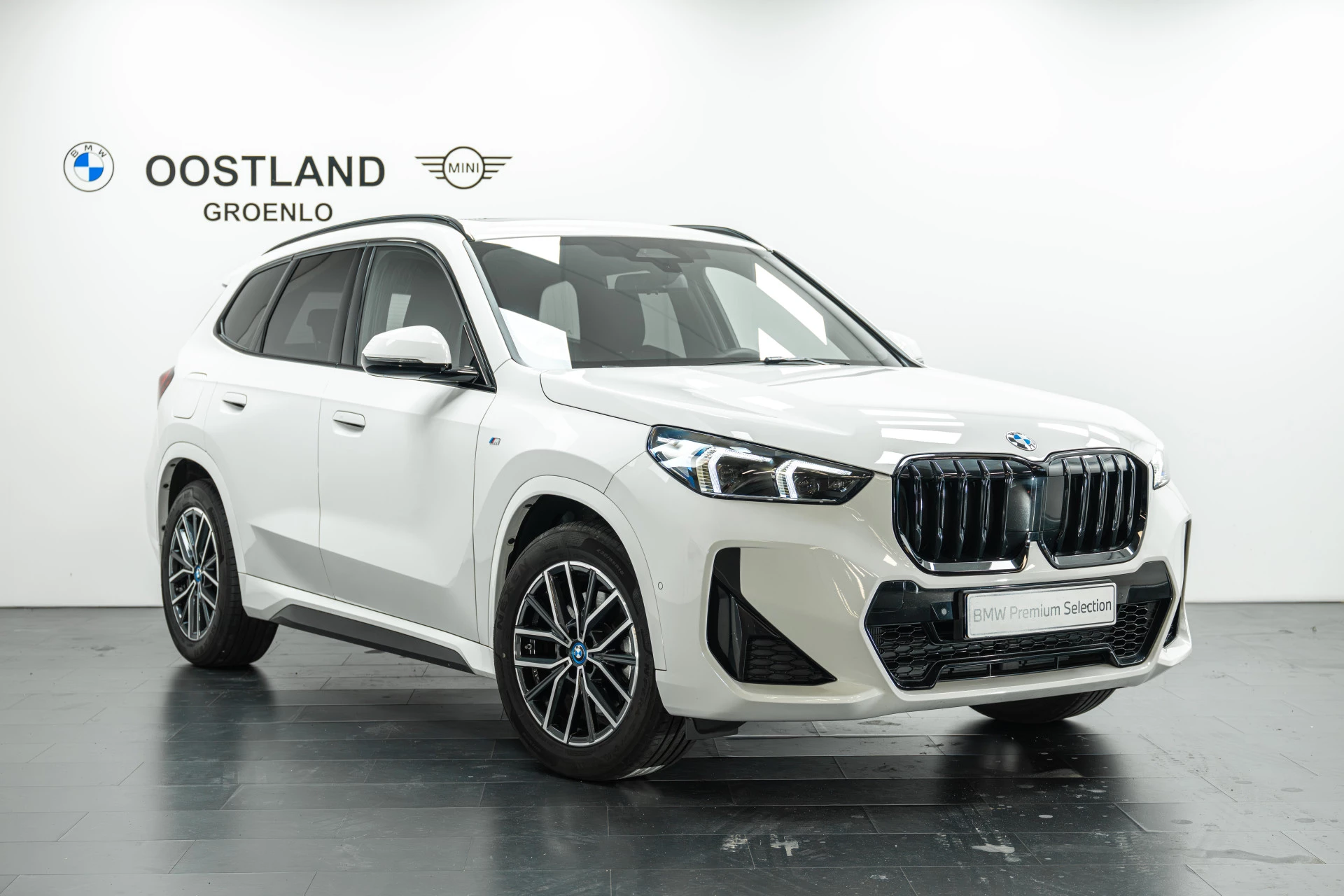 Hoofdafbeelding BMW X1