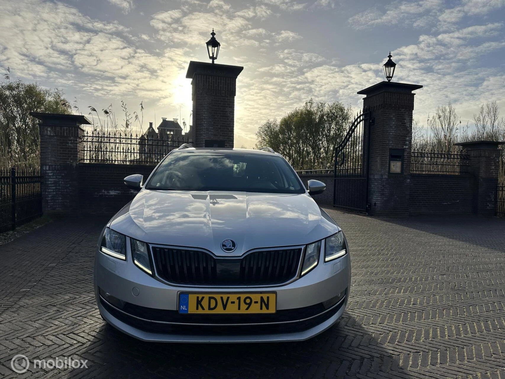 Hoofdafbeelding Škoda Octavia