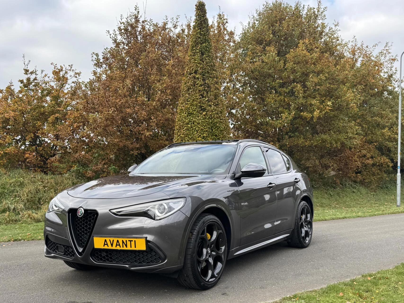 Hoofdafbeelding Alfa Romeo Stelvio