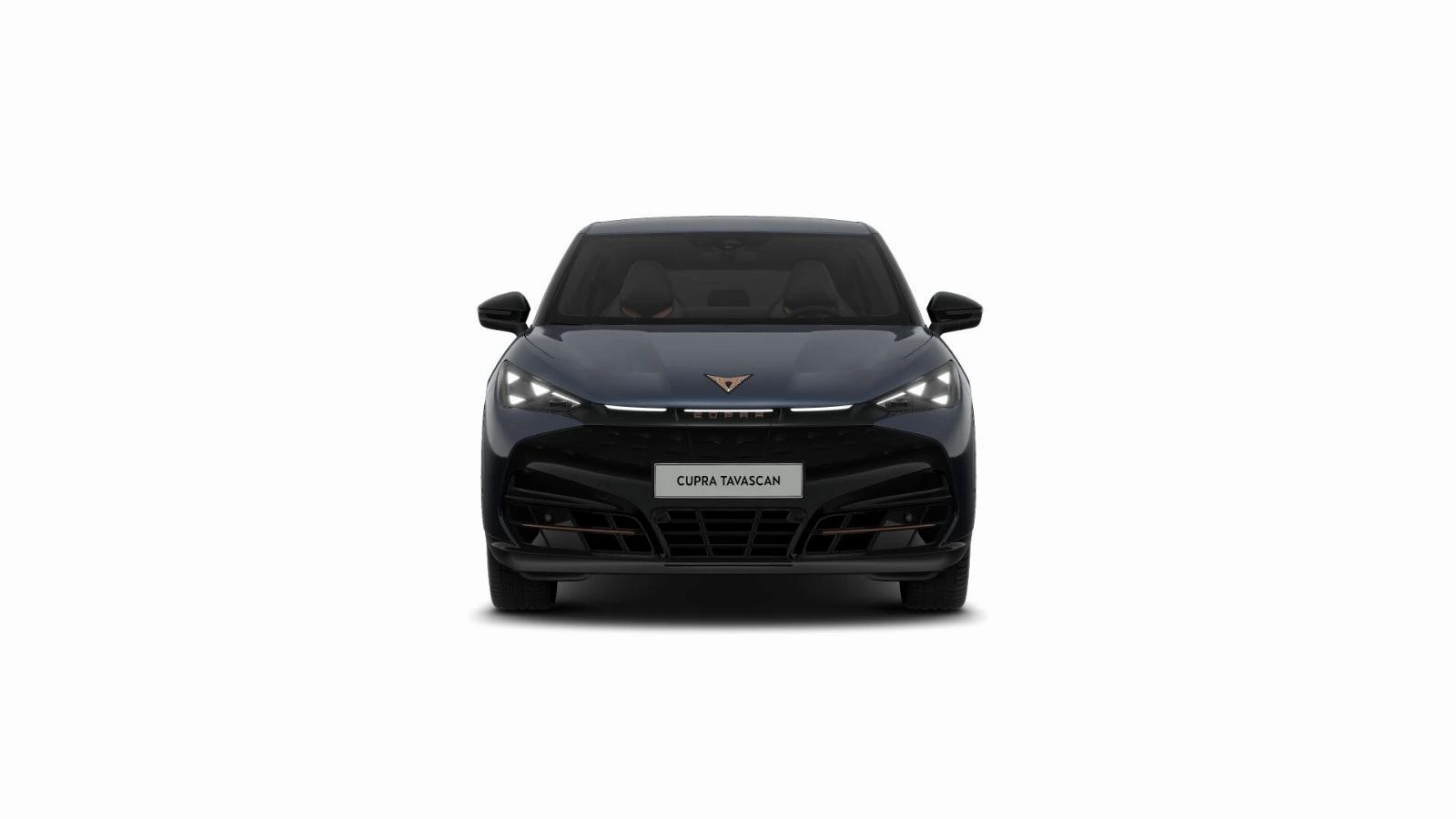 Hoofdafbeelding CUPRA Tavascan