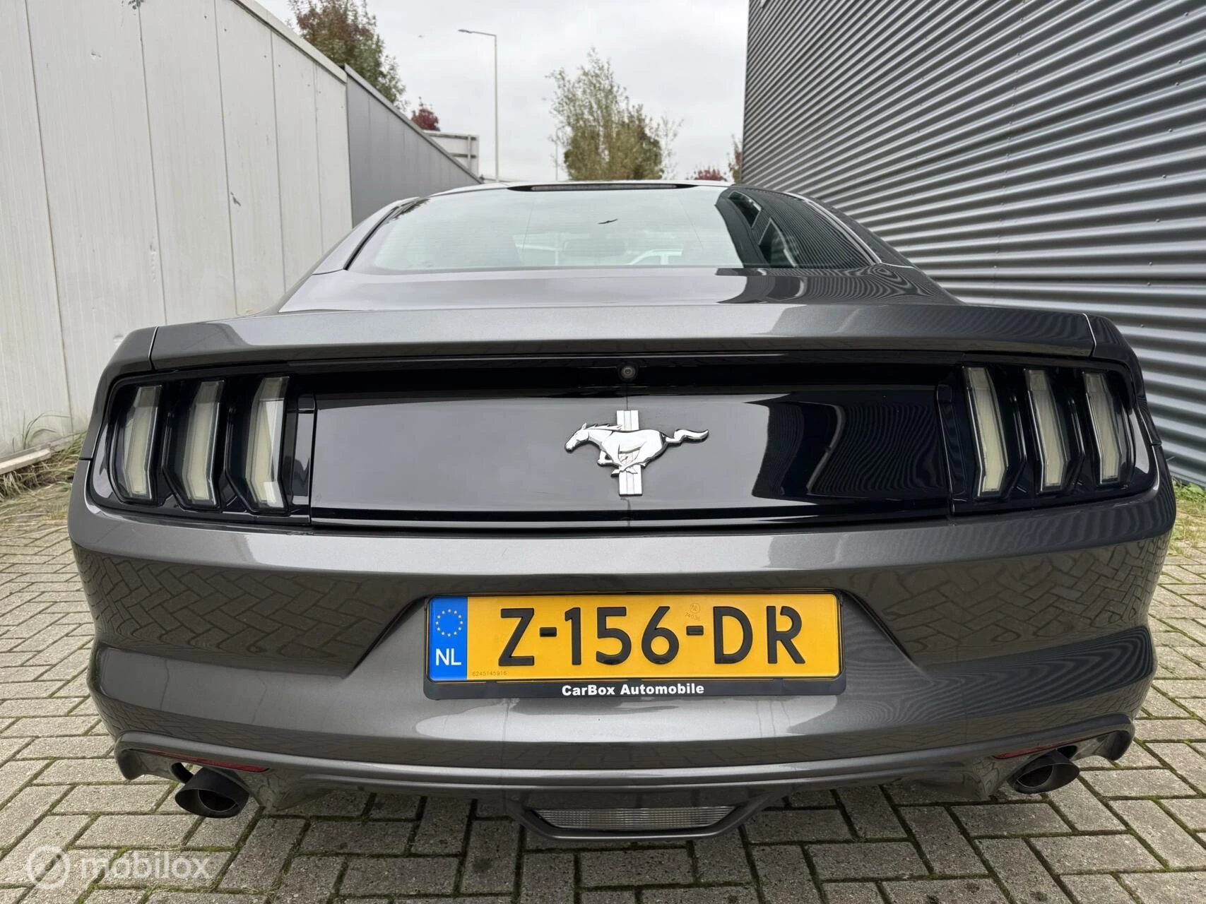 Hoofdafbeelding Ford Mustang