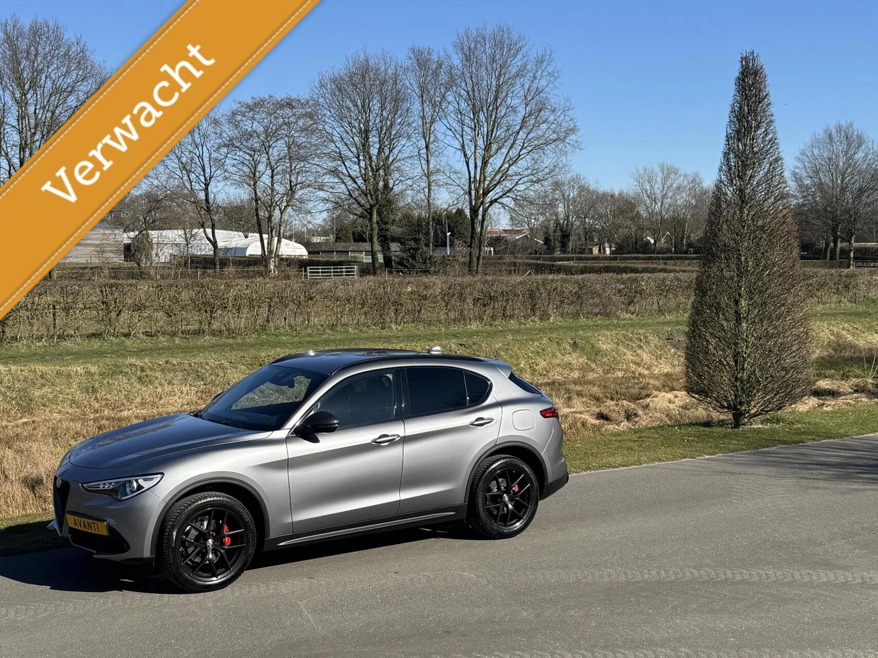 Hoofdafbeelding Alfa Romeo Stelvio