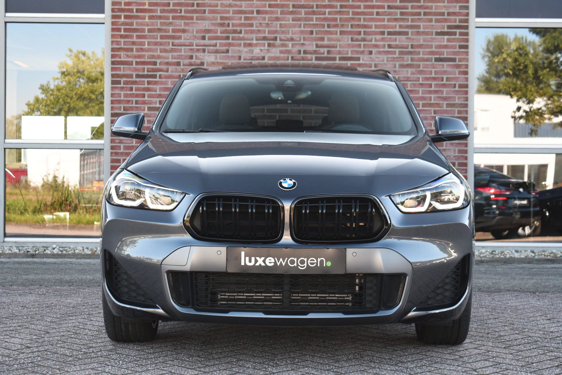 Hoofdafbeelding BMW X2