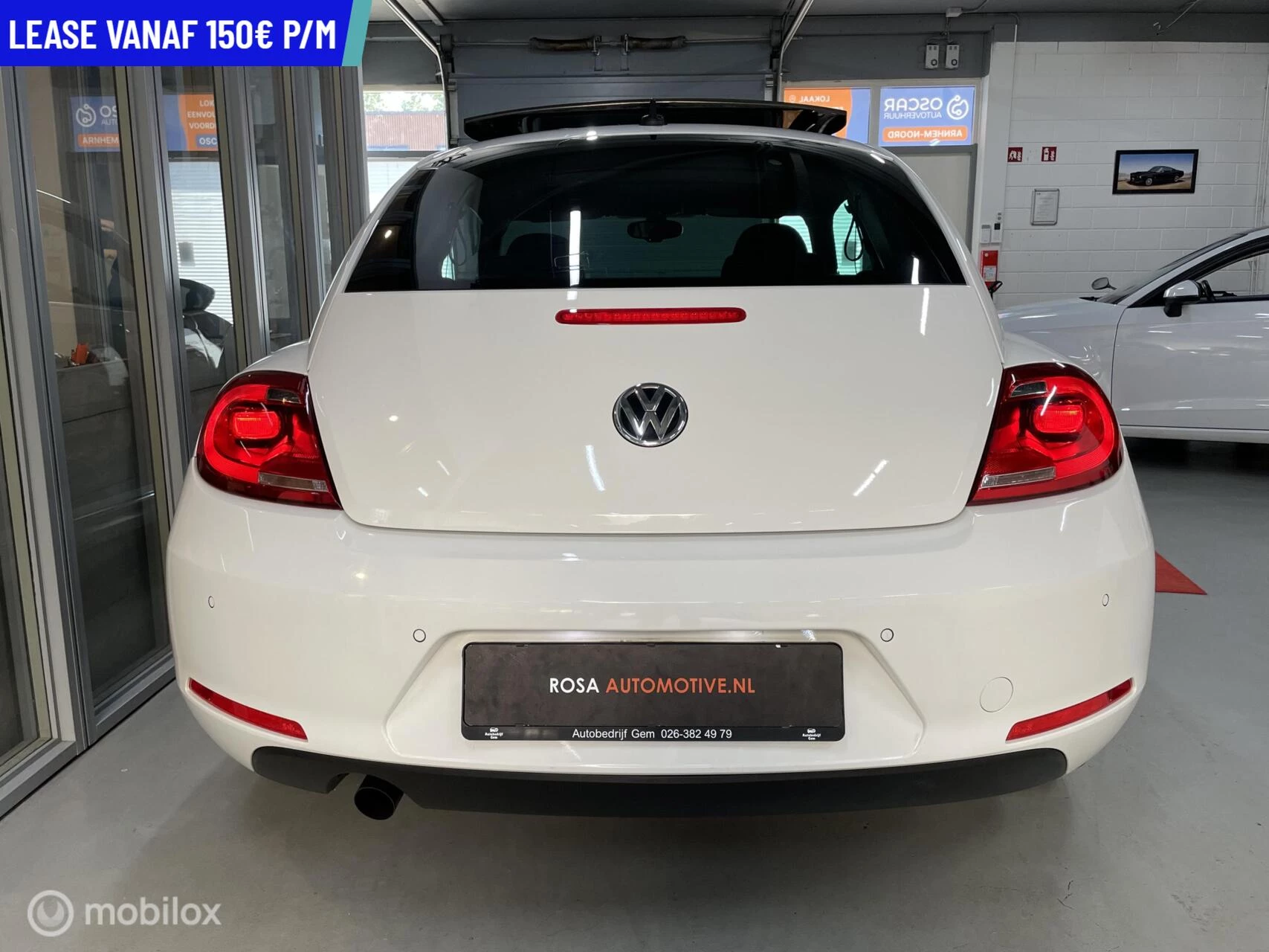 Hoofdafbeelding Volkswagen Beetle