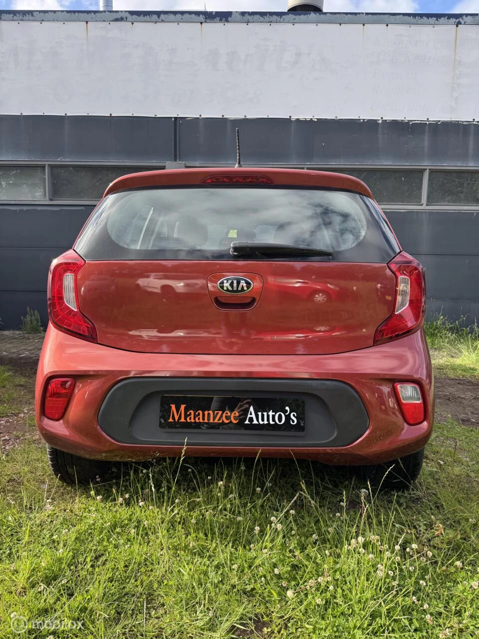 Hoofdafbeelding Kia Picanto