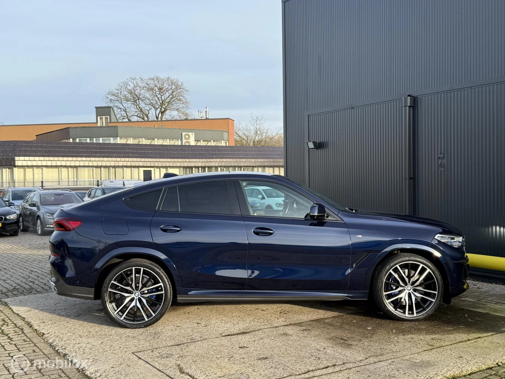 Hoofdafbeelding BMW X6