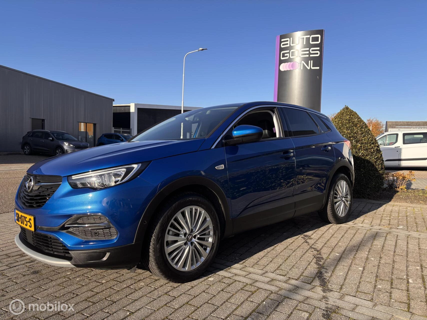 Hoofdafbeelding Opel Grandland X