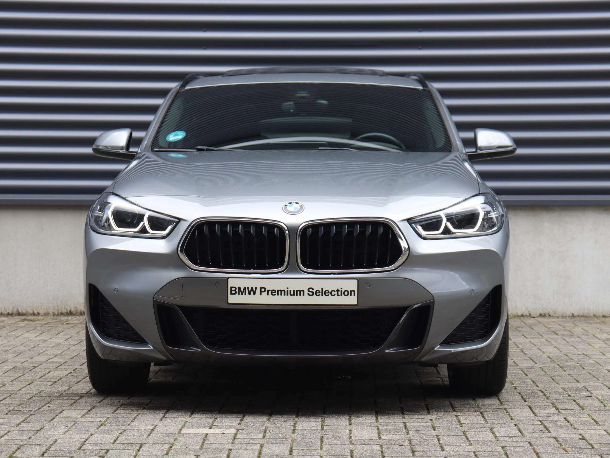 Hoofdafbeelding BMW X2