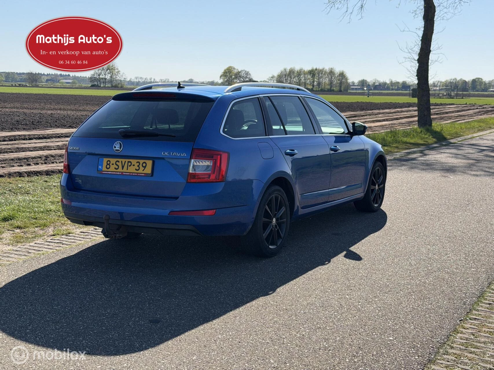 Hoofdafbeelding Škoda Octavia