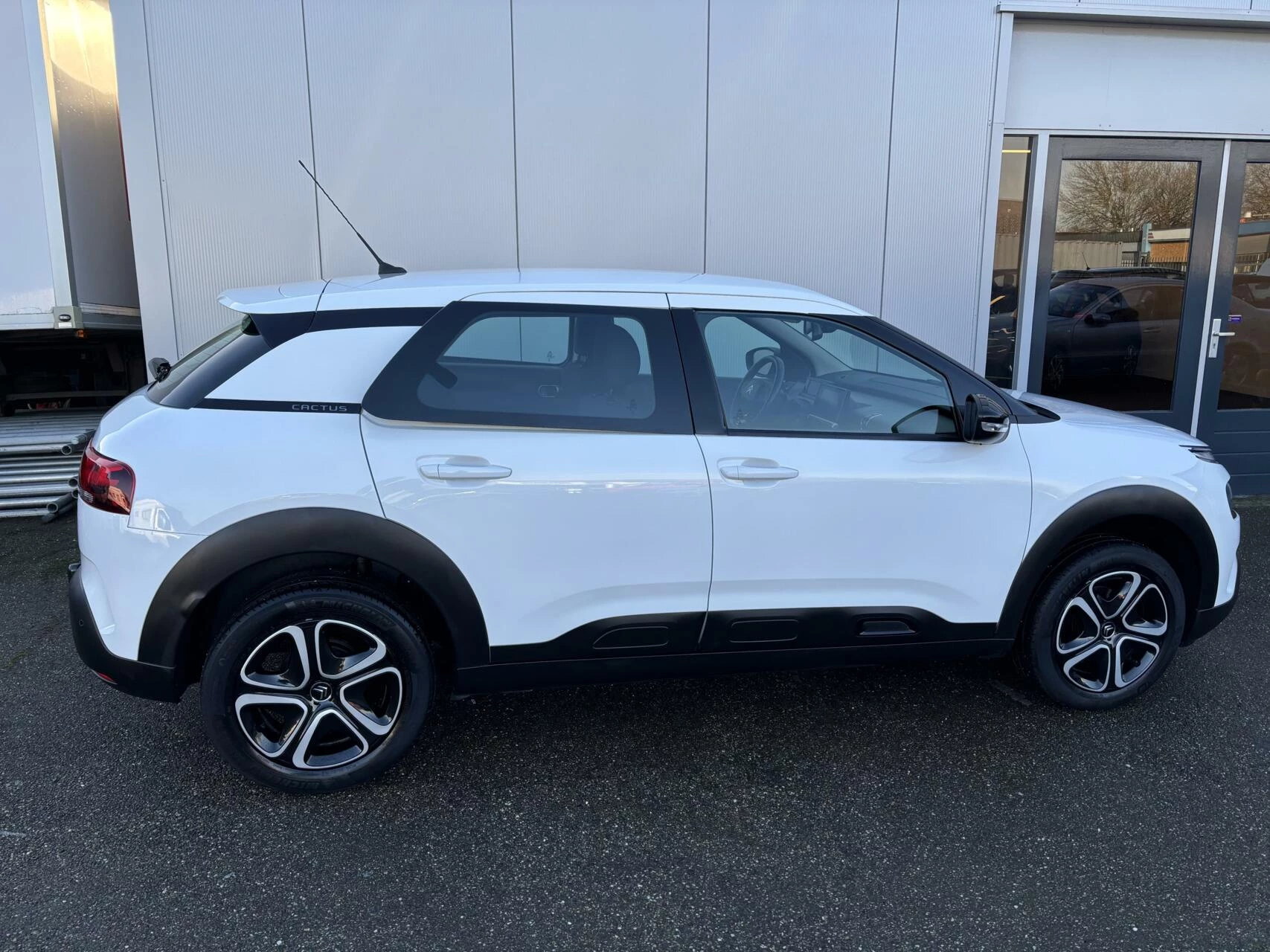 Hoofdafbeelding Citroën C4 Cactus