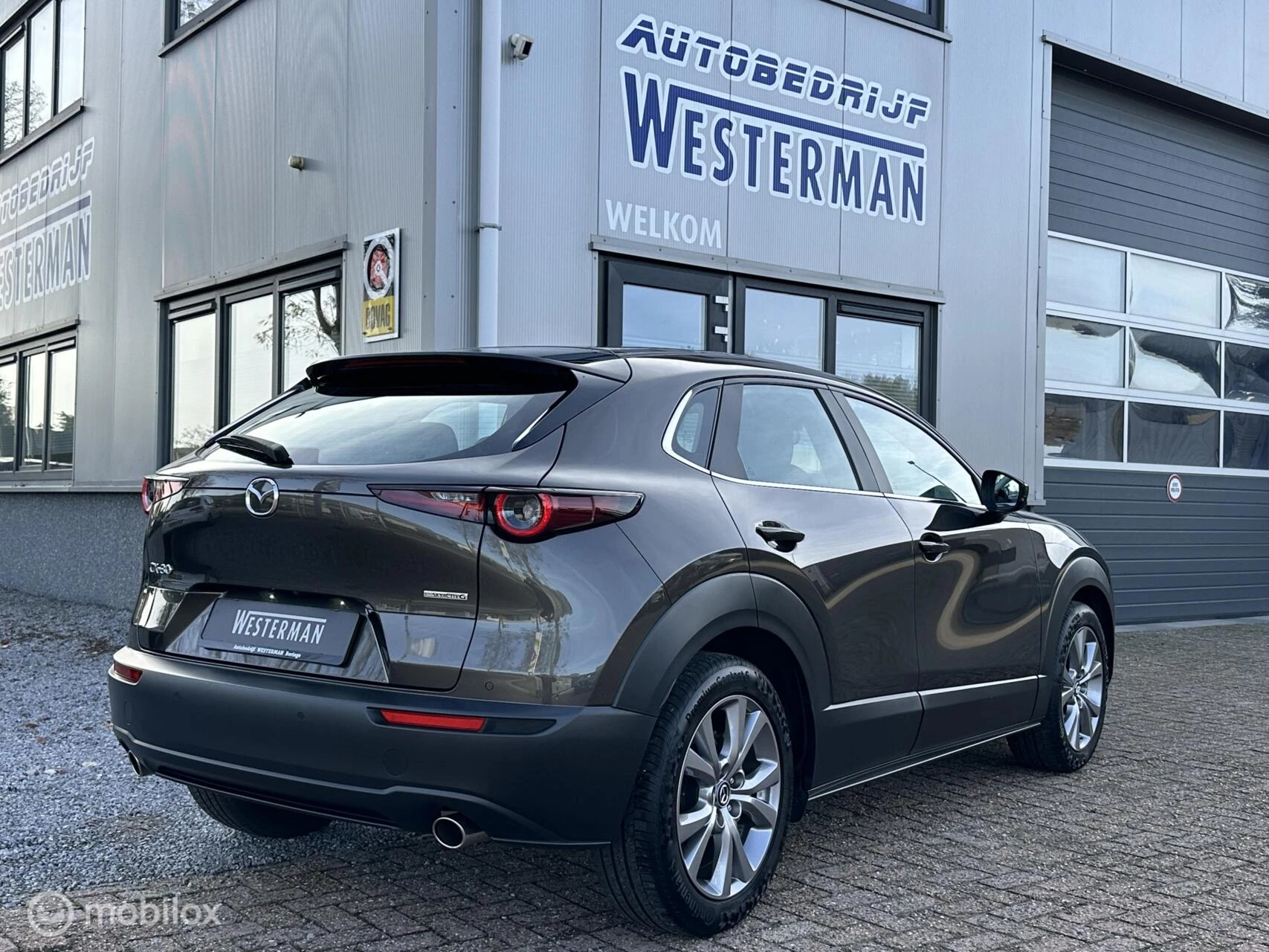 Hoofdafbeelding Mazda CX-30
