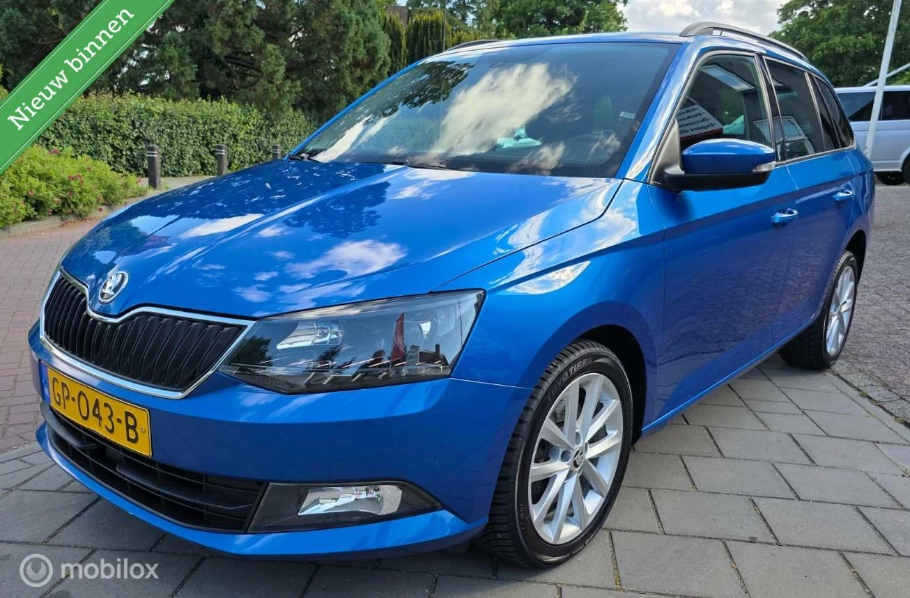 Hoofdafbeelding Škoda Fabia