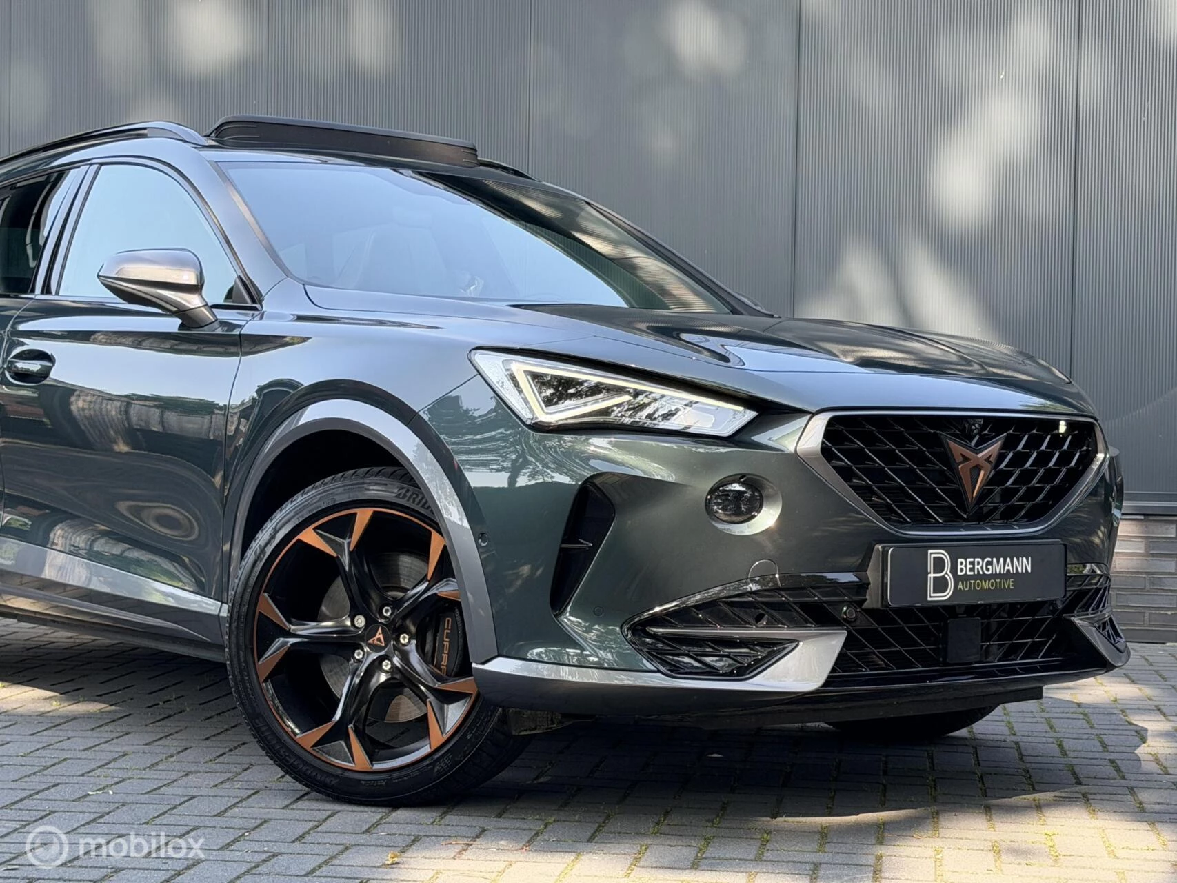 Hoofdafbeelding CUPRA Formentor