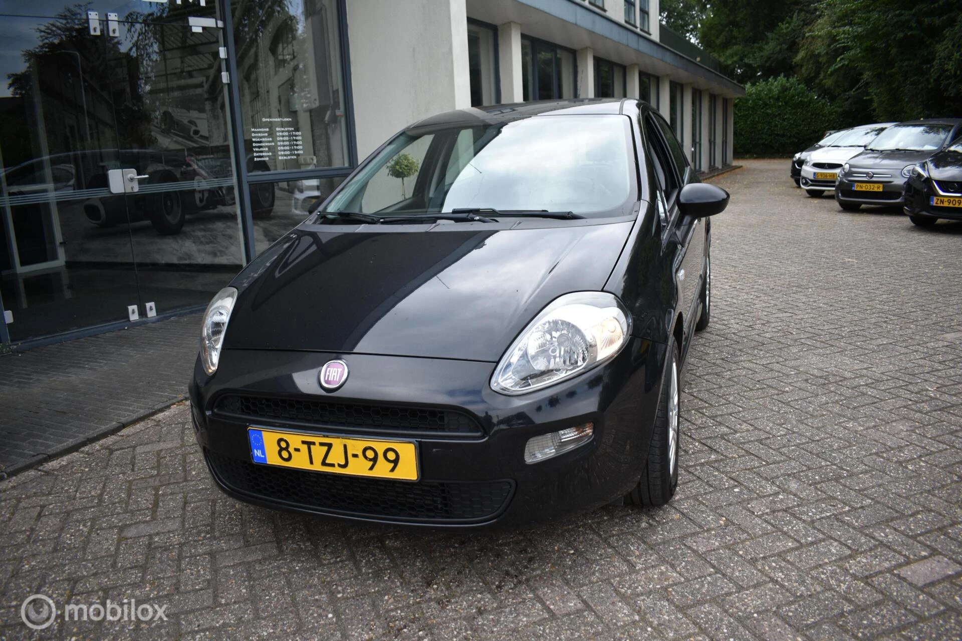 Hoofdafbeelding Fiat Punto