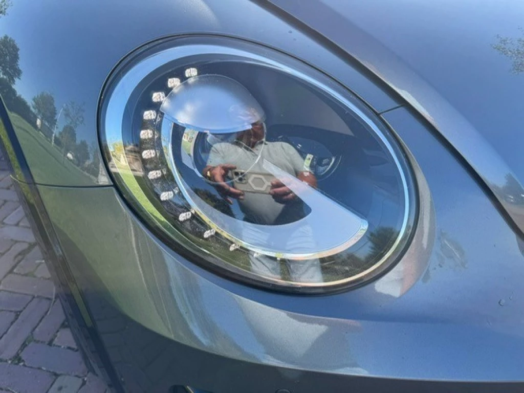 Hoofdafbeelding Volkswagen Beetle