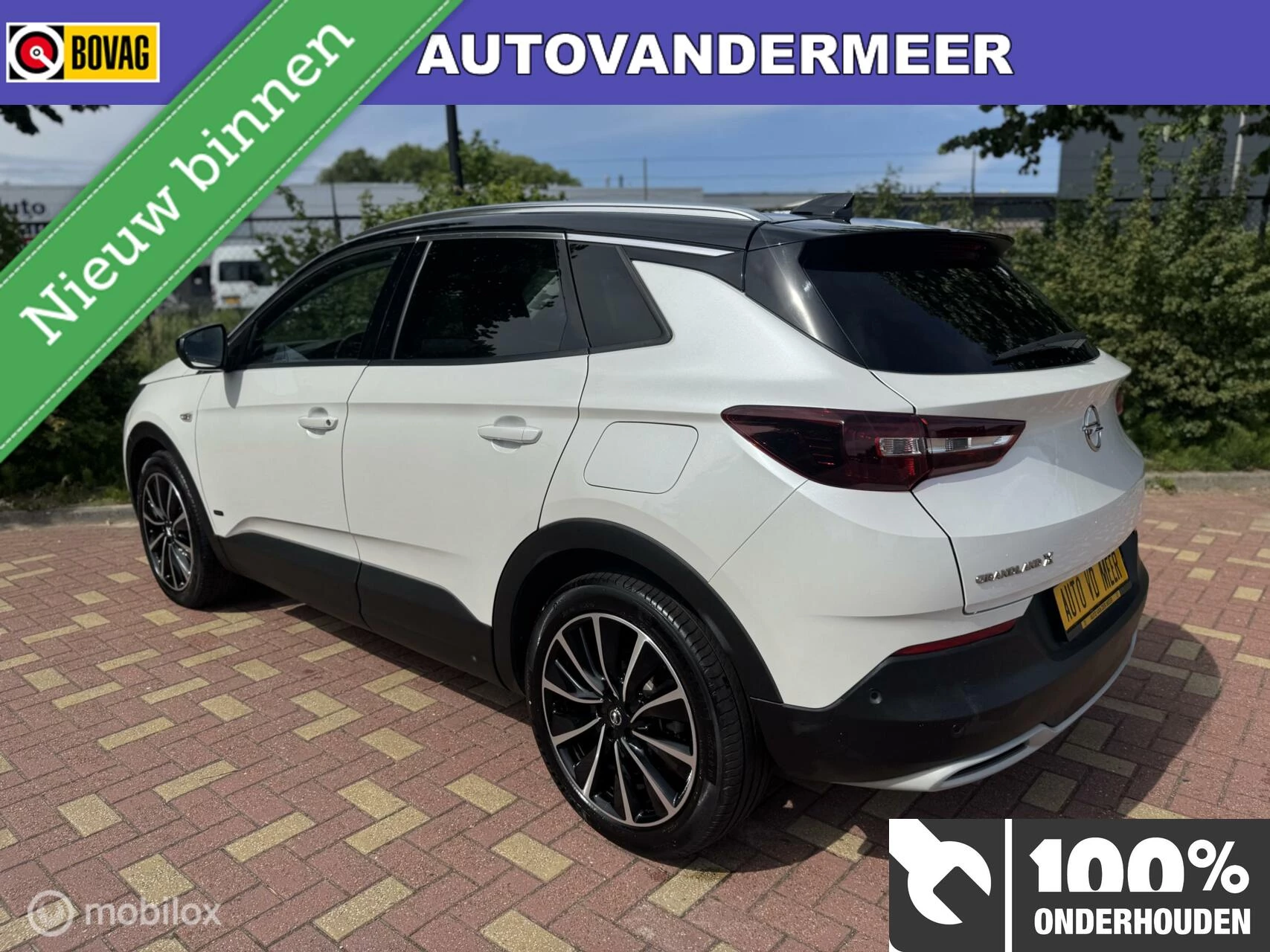 Hoofdafbeelding Opel Grandland X