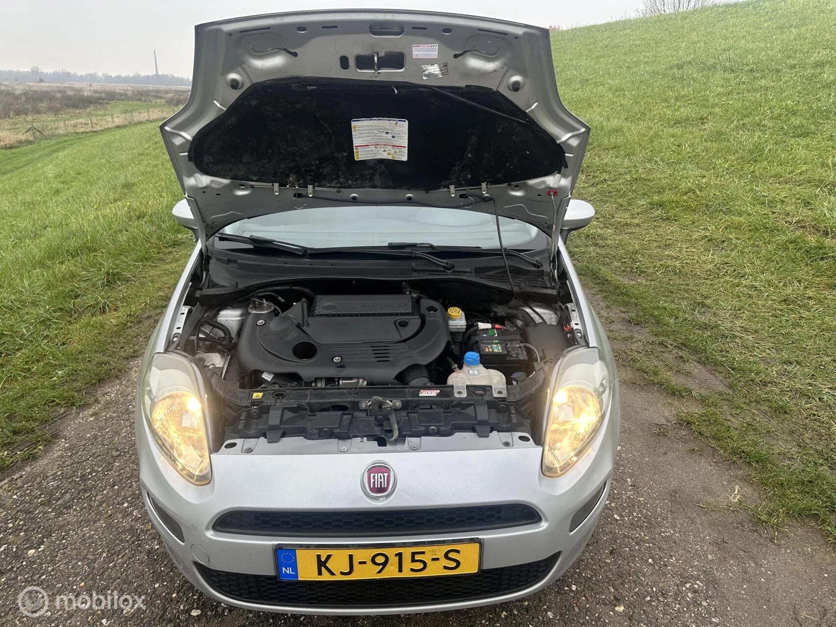 Hoofdafbeelding Fiat Punto