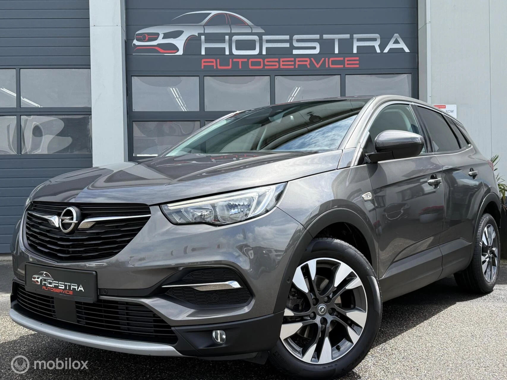 Hoofdafbeelding Opel Grandland X