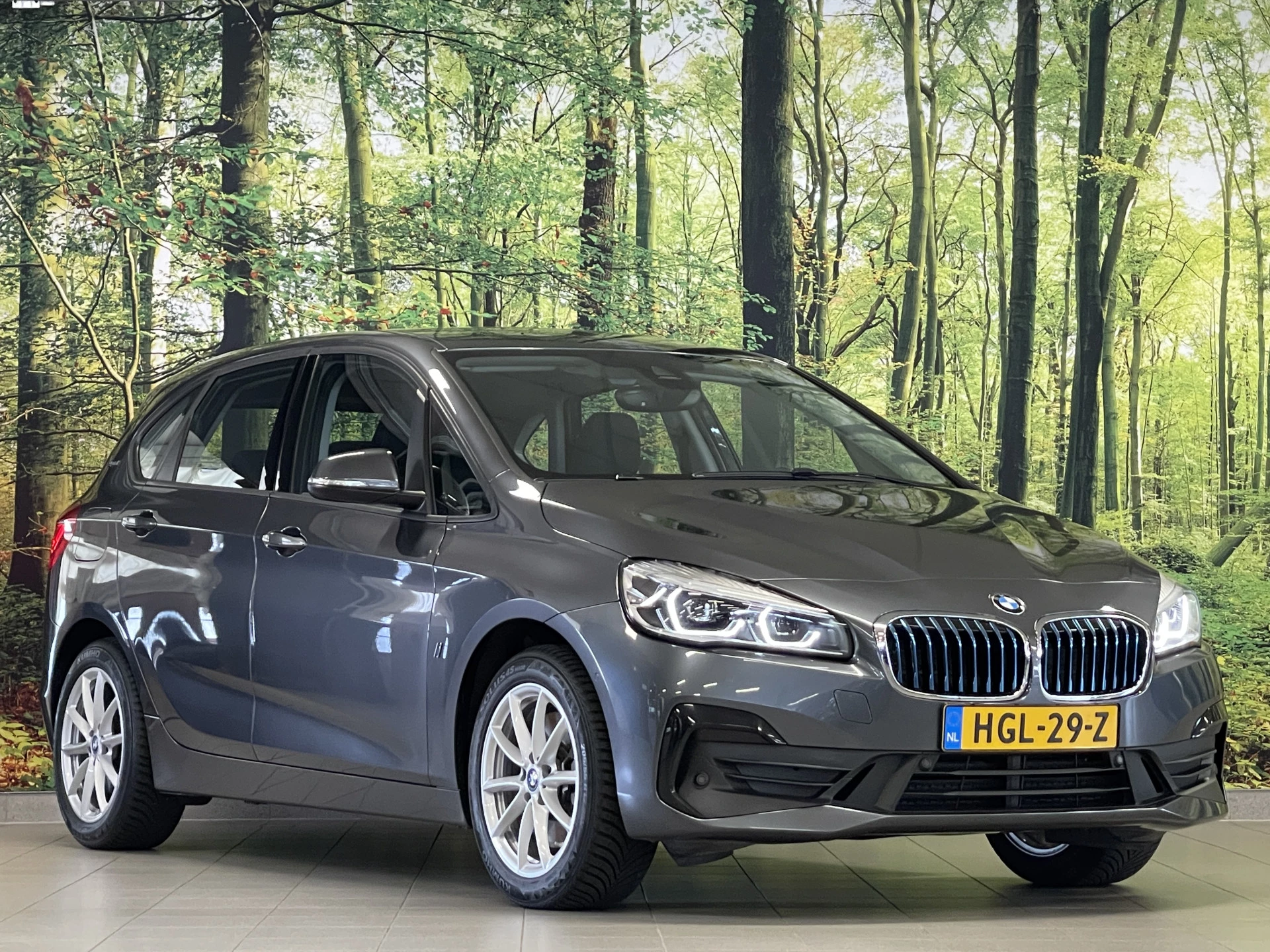 Hoofdafbeelding BMW 2 Serie