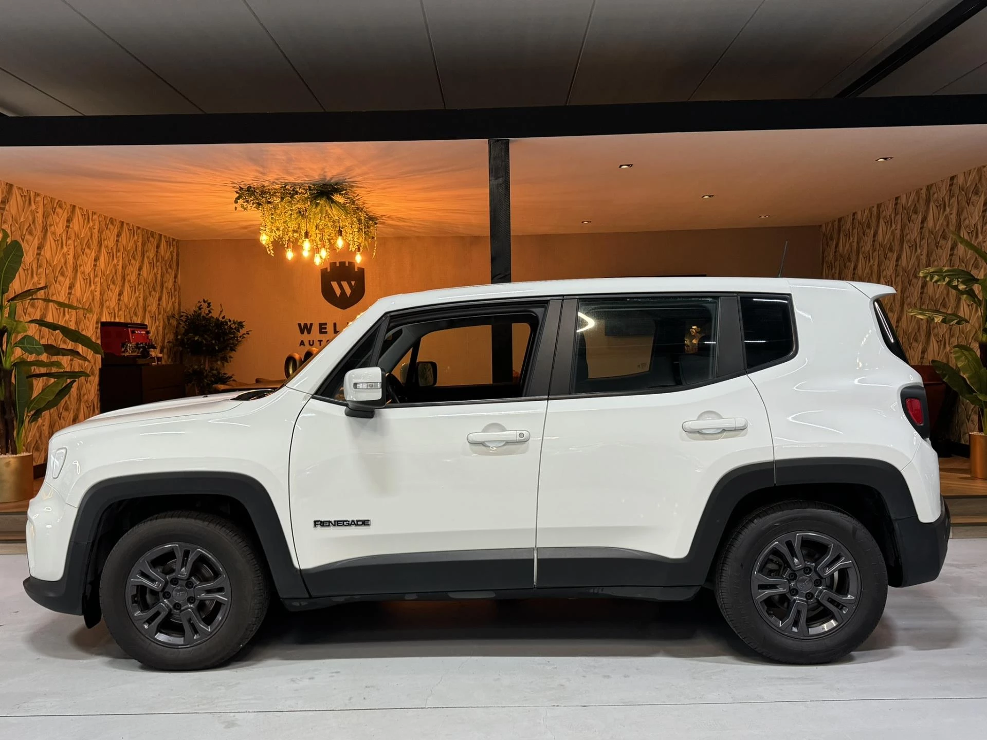 Hoofdafbeelding Jeep Renegade