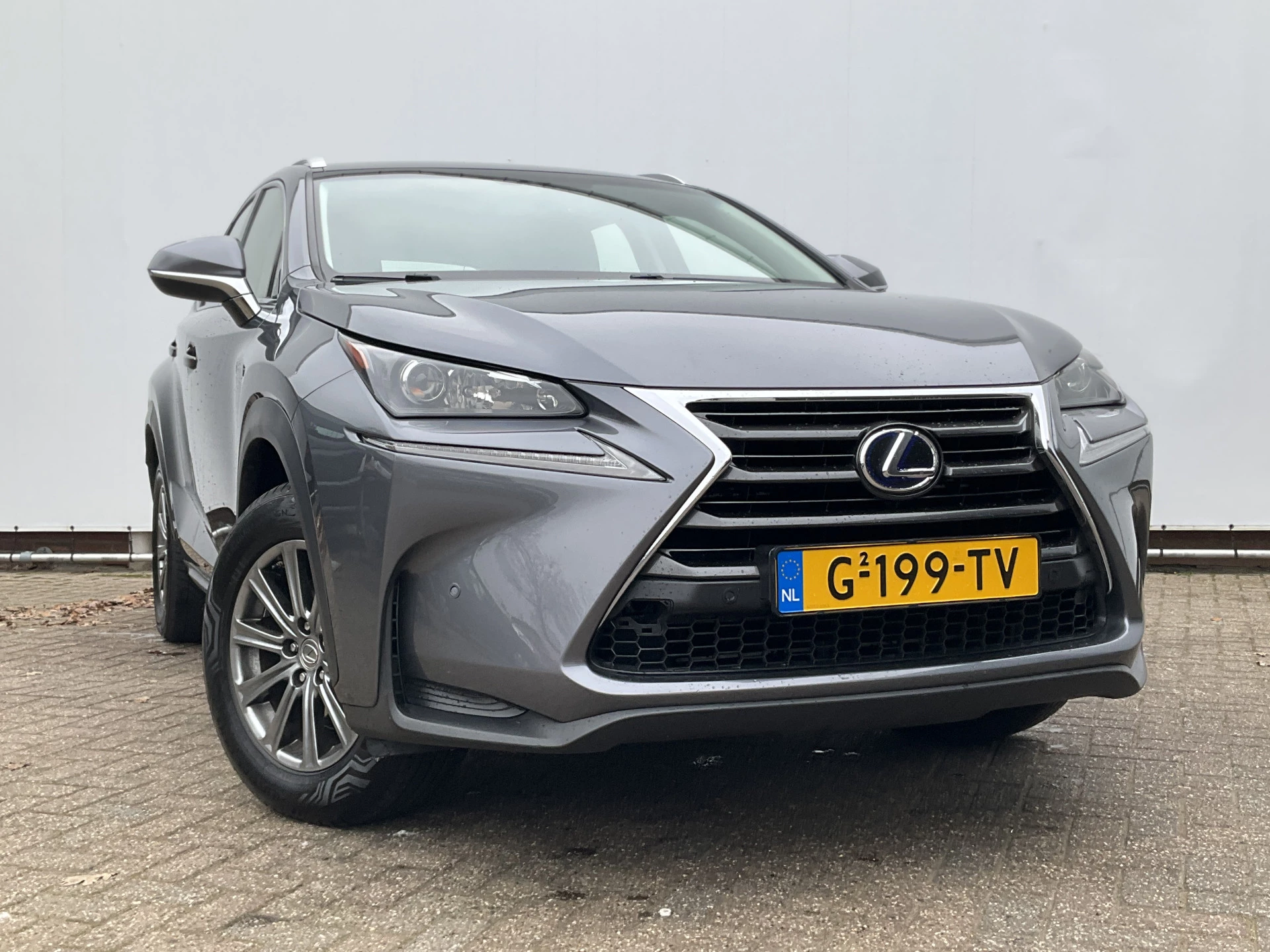 Hoofdafbeelding Lexus NX