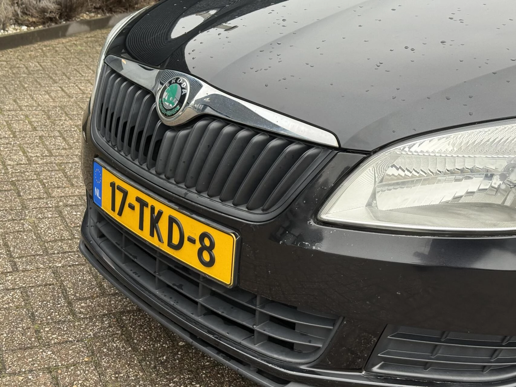 Hoofdafbeelding Škoda Fabia