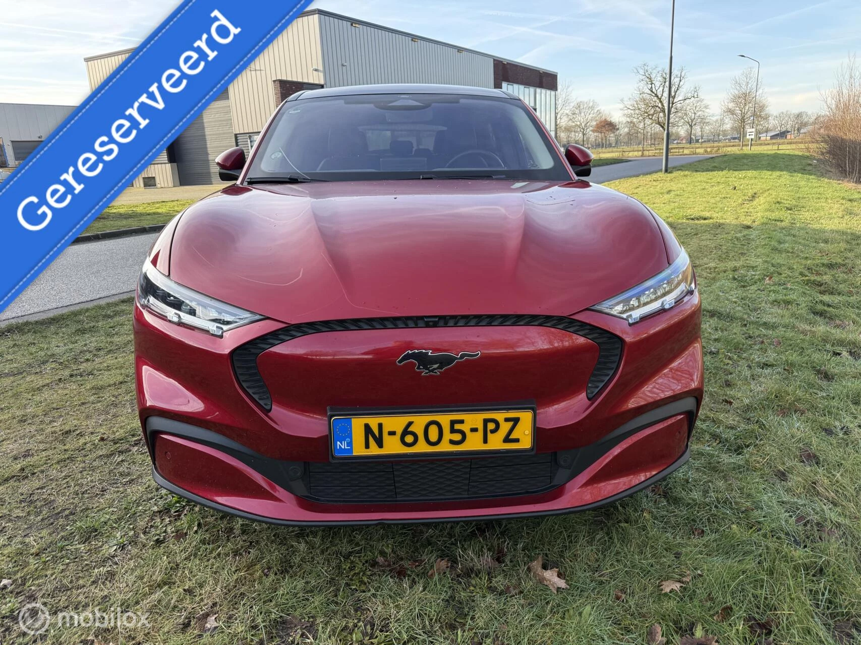 Hoofdafbeelding Ford Mustang Mach-E