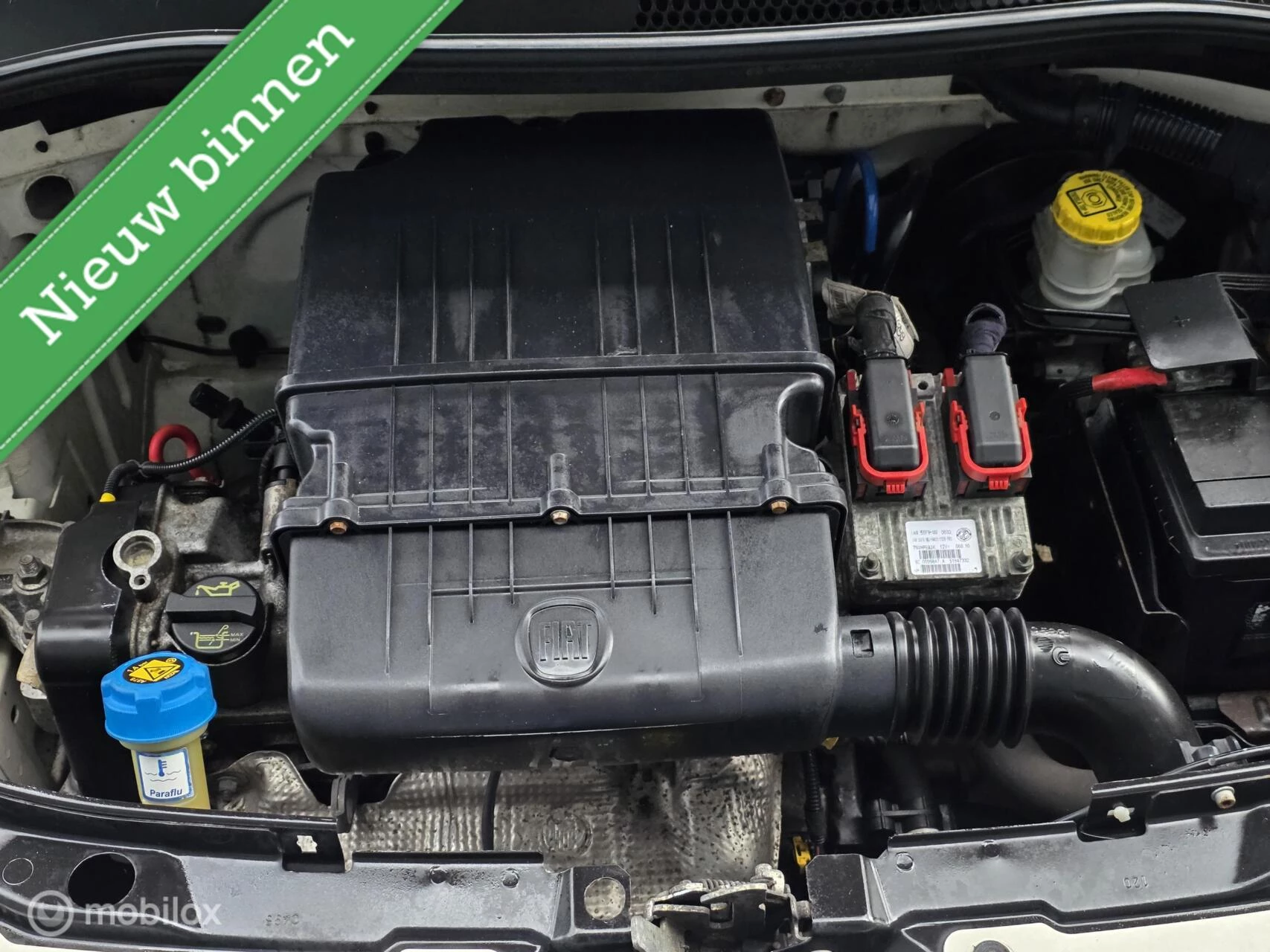 Hoofdafbeelding Fiat 500C