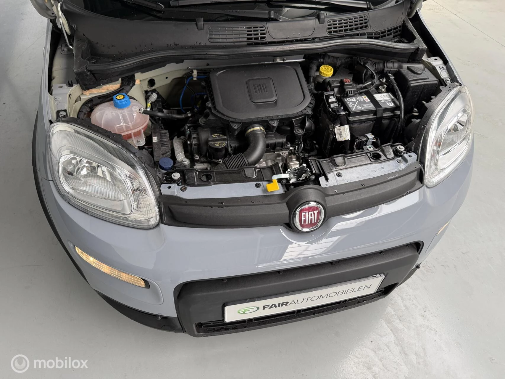 Hoofdafbeelding Fiat Panda