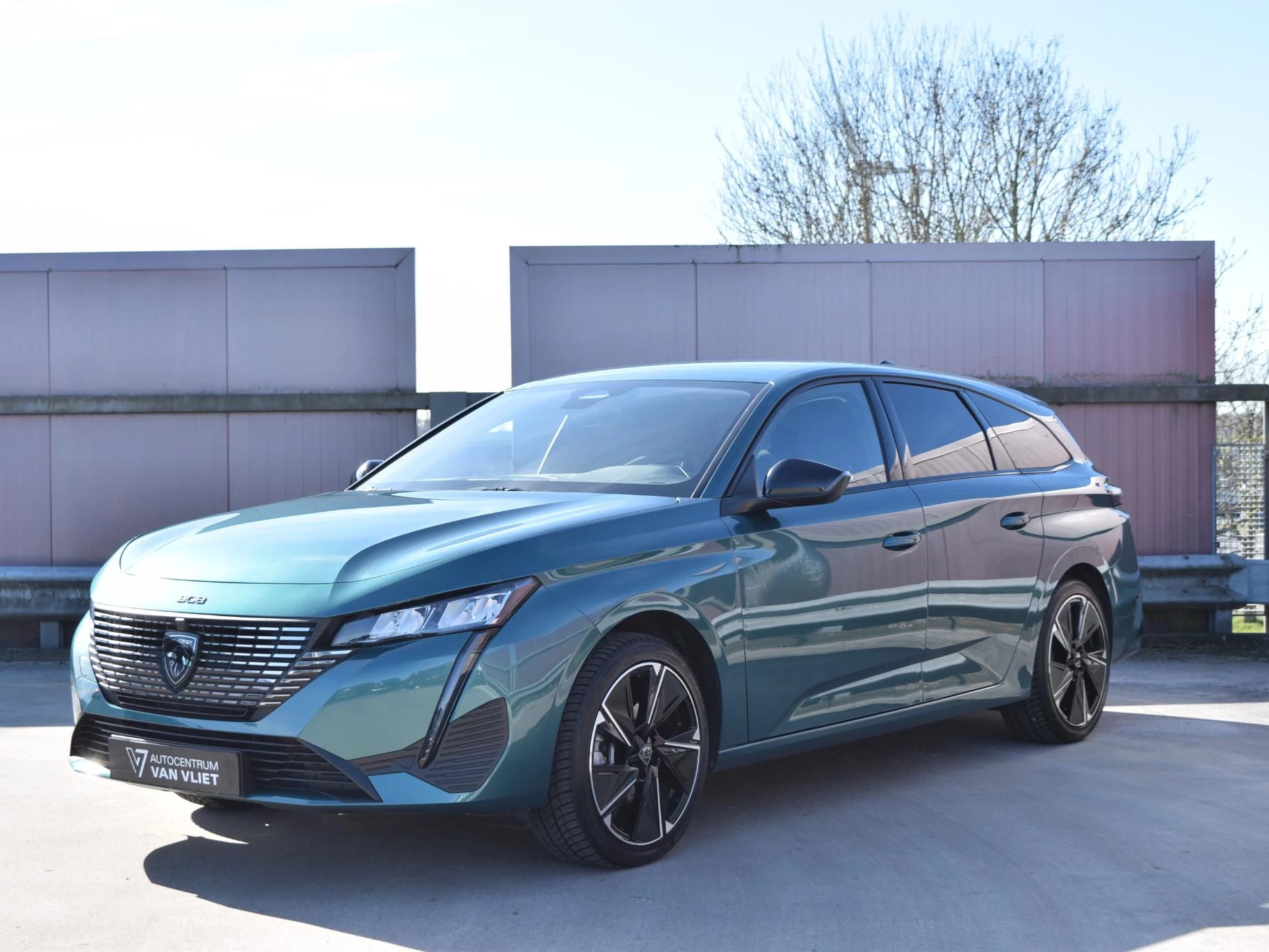 Hoofdafbeelding Peugeot e-308