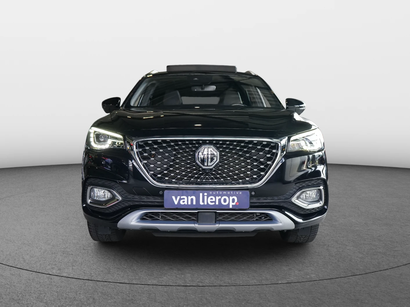 Hoofdafbeelding MG EHS