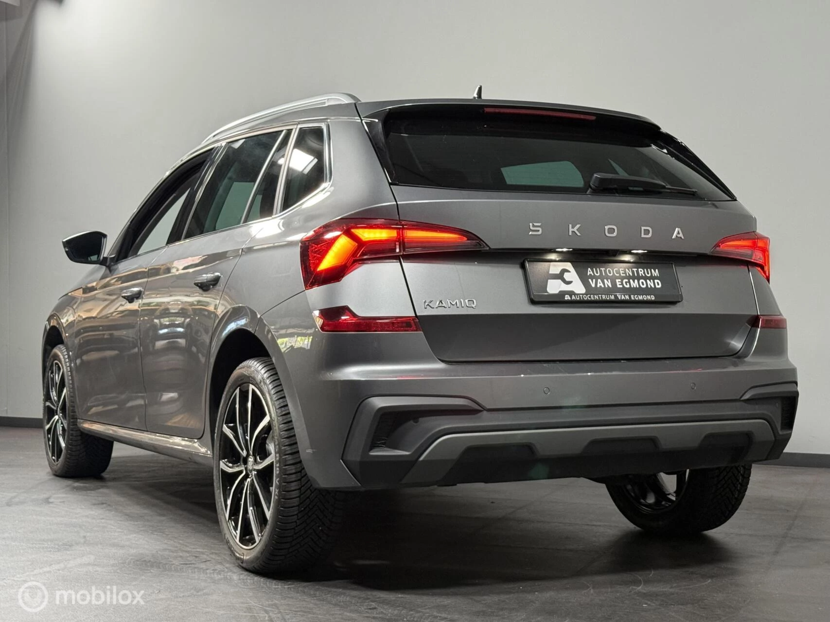 Hoofdafbeelding Škoda Kamiq