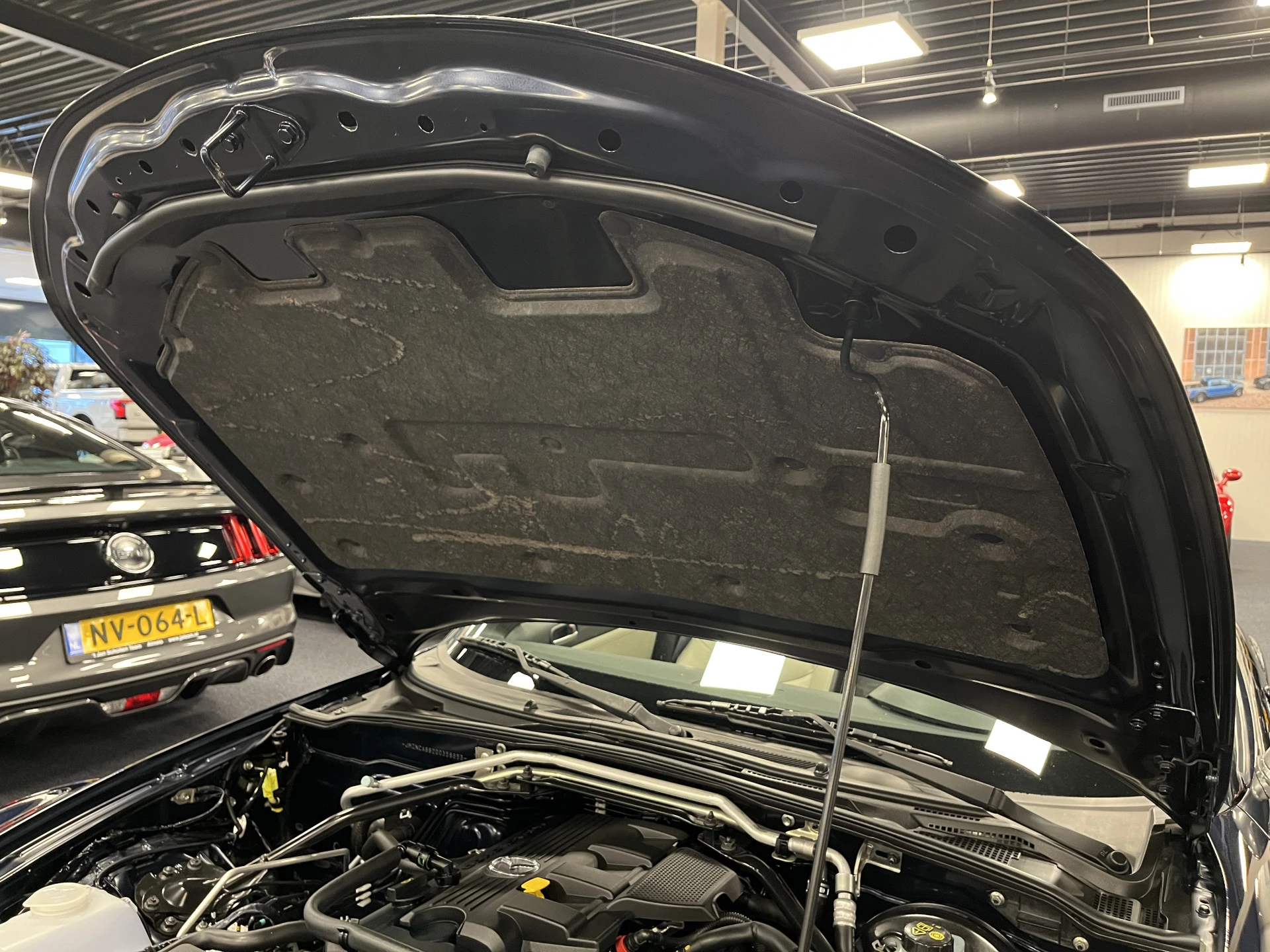 Hoofdafbeelding Mazda MX-5