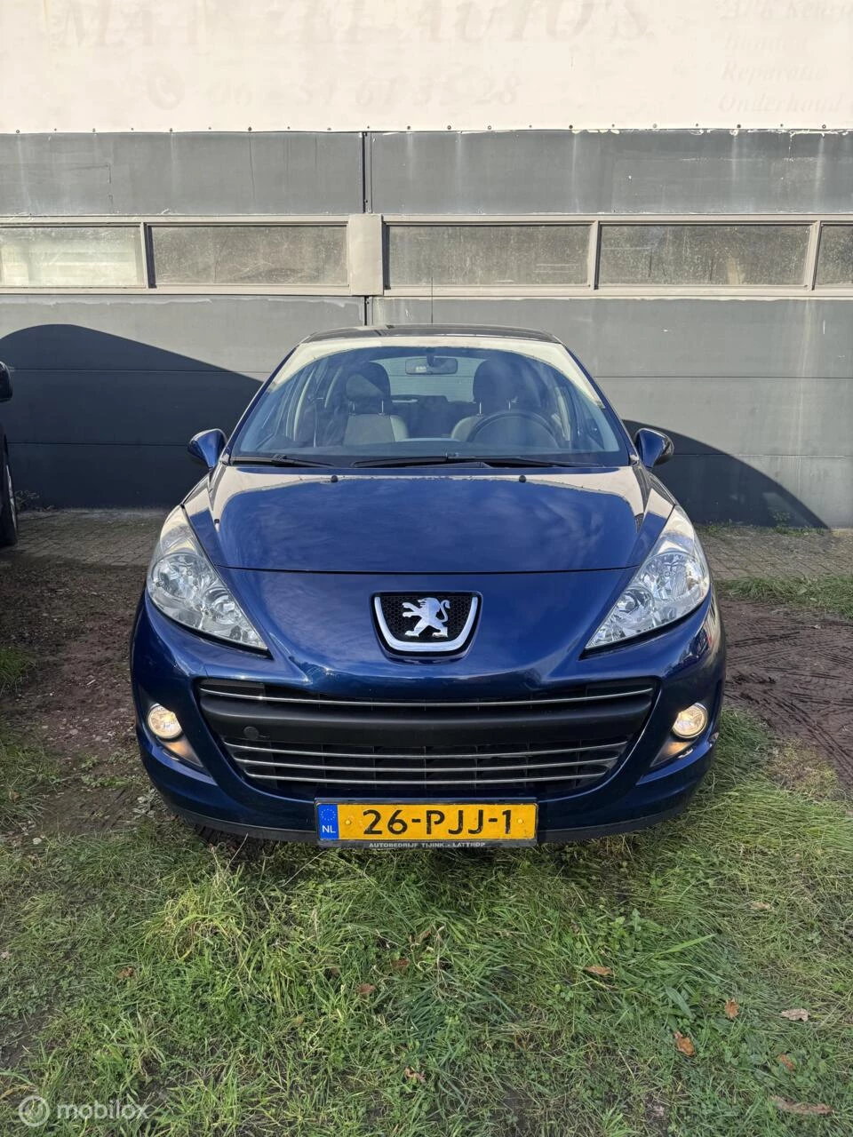 Hoofdafbeelding Peugeot 207