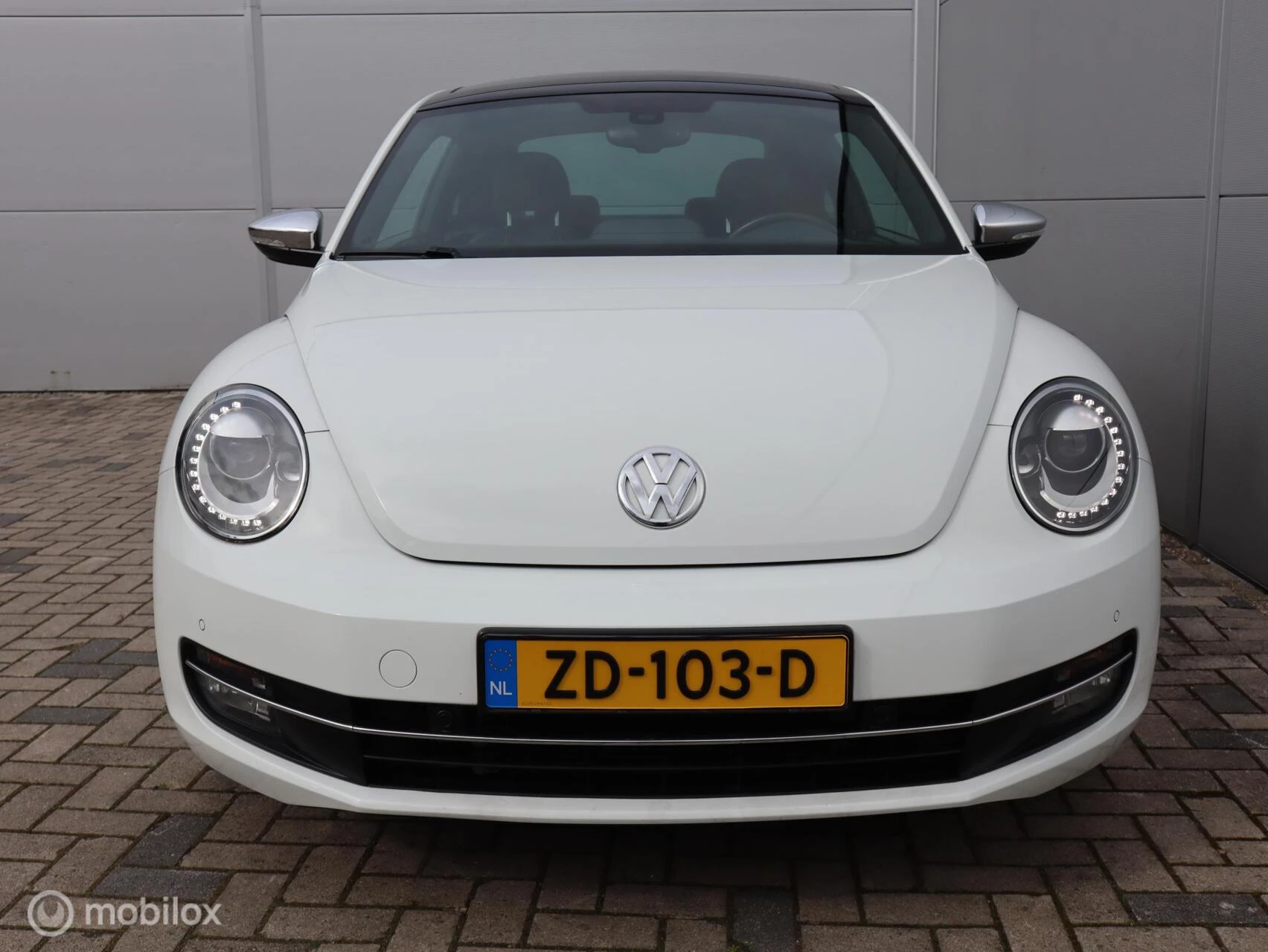 Hoofdafbeelding Volkswagen Beetle