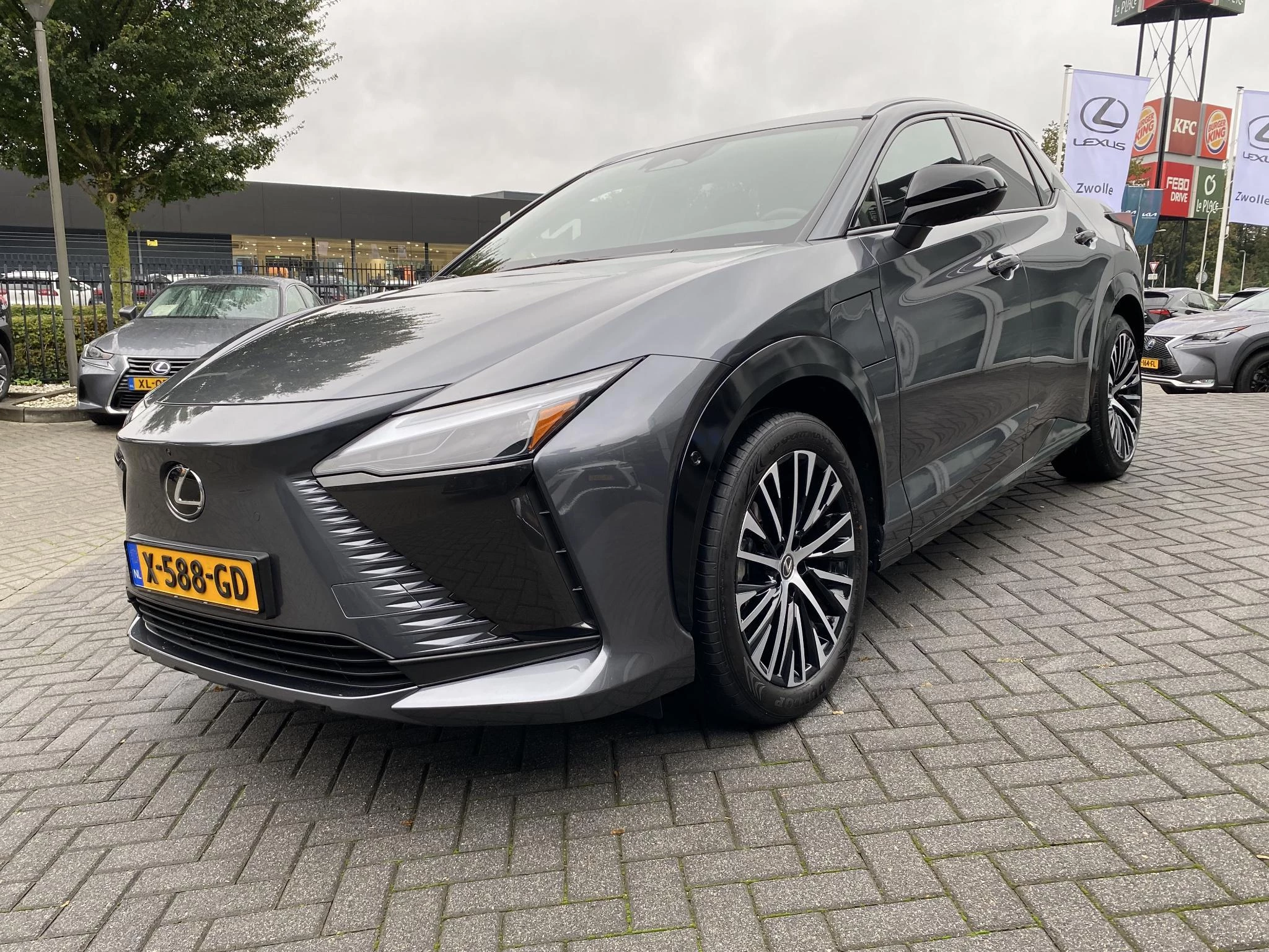 Hoofdafbeelding Lexus RZ