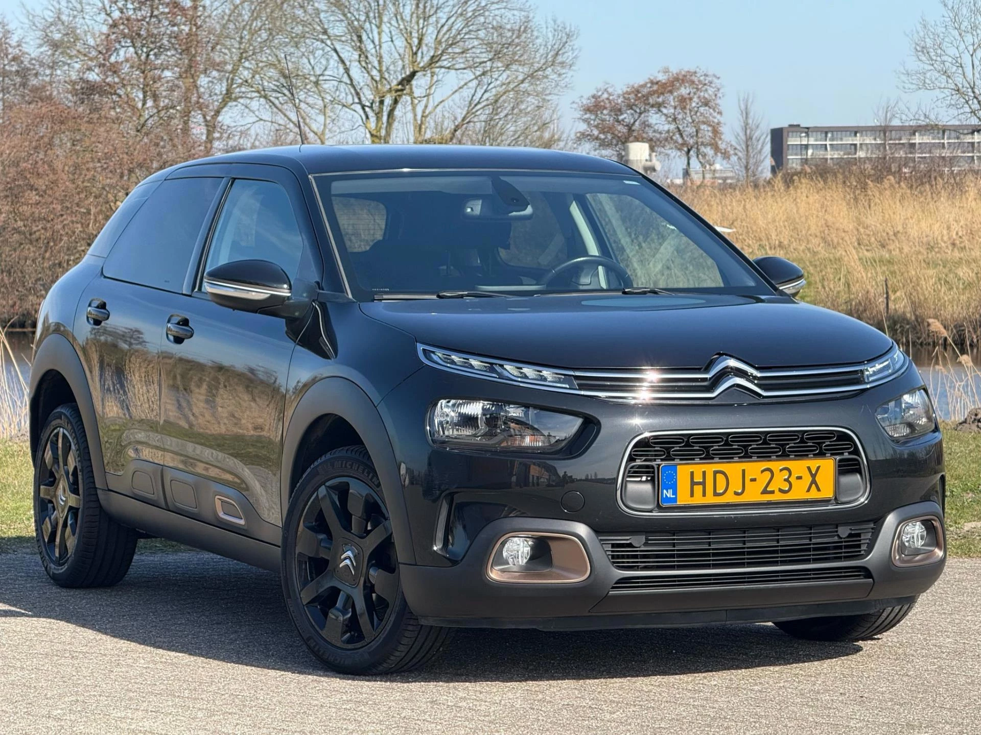 Hoofdafbeelding Citroën C4 Cactus
