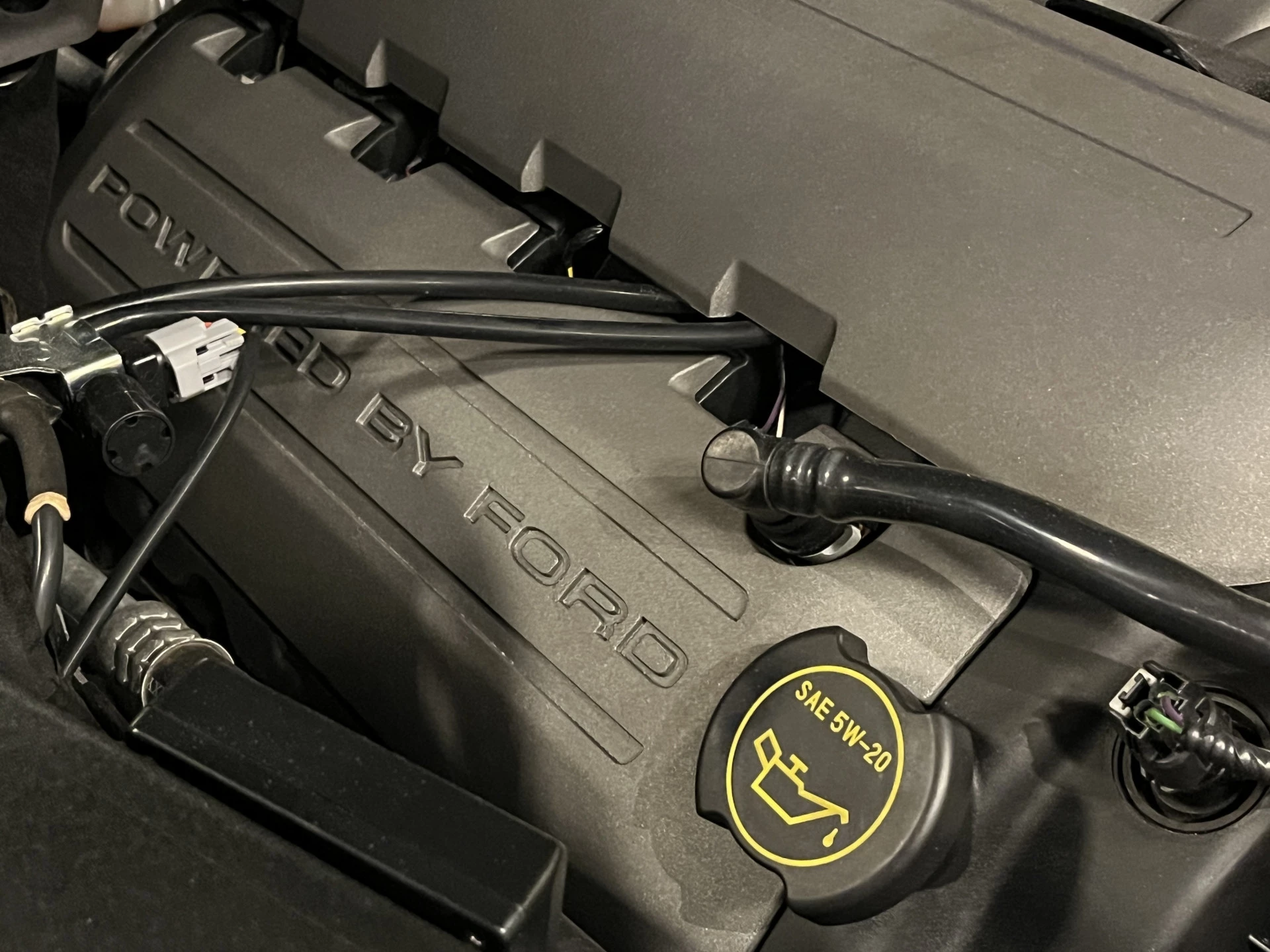 Hoofdafbeelding Ford Mustang