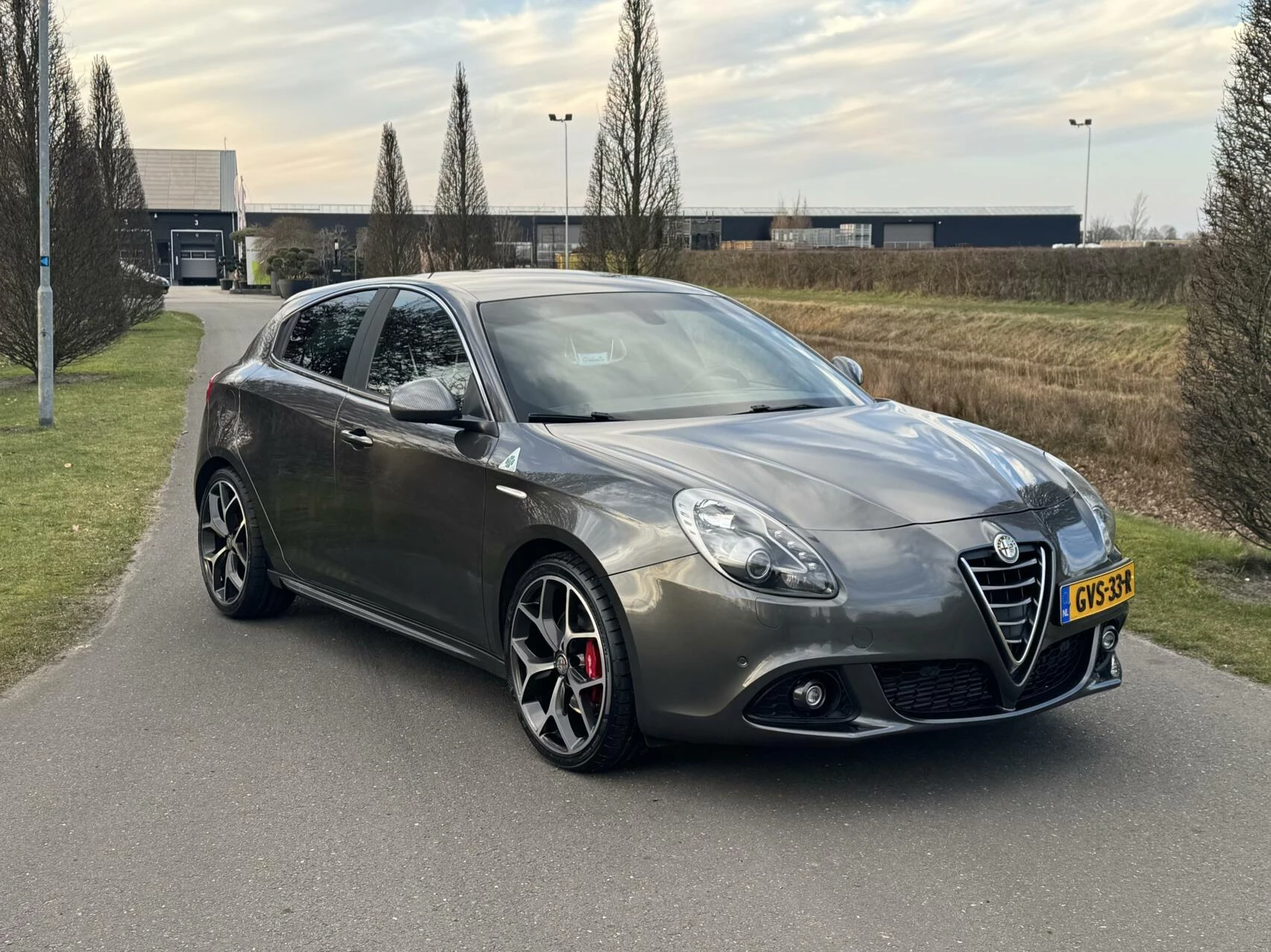 Hoofdafbeelding Alfa Romeo Giulietta