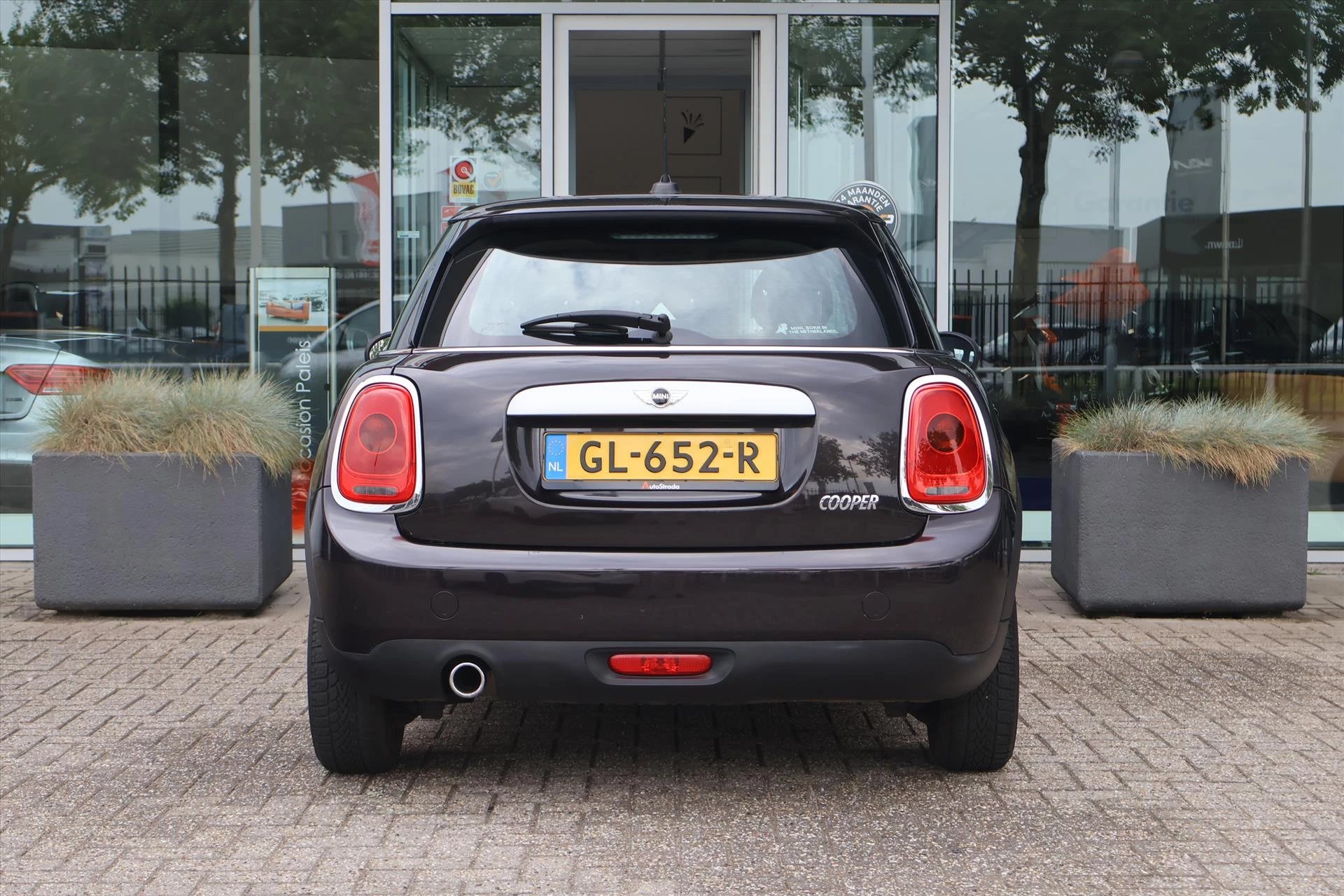 Hoofdafbeelding MINI Cooper