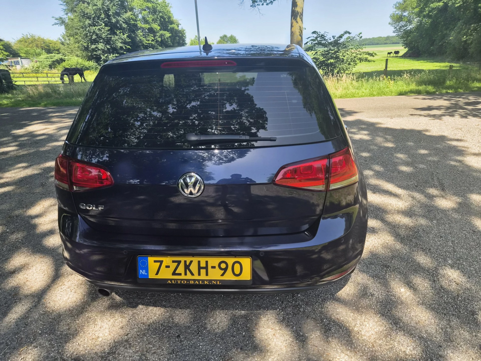 Hoofdafbeelding Volkswagen Golf