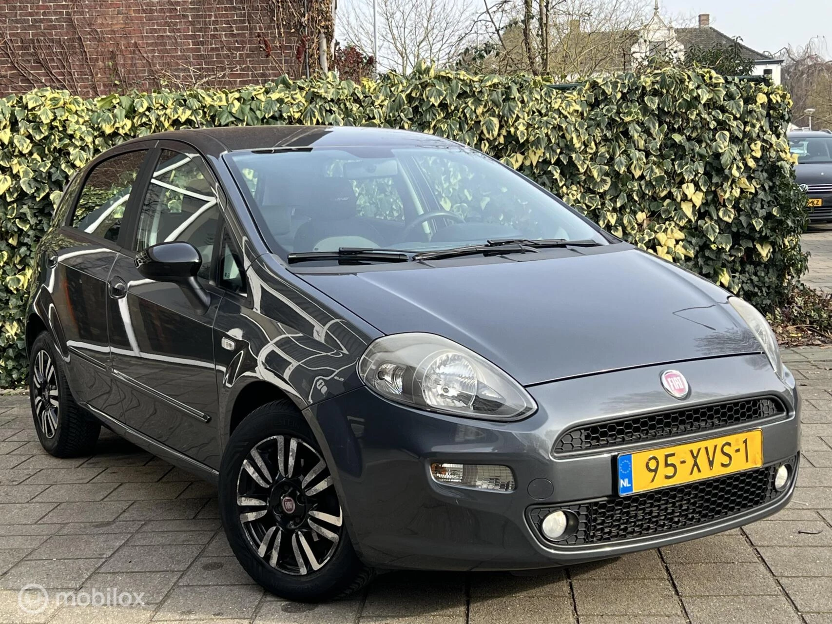 Hoofdafbeelding Fiat Punto