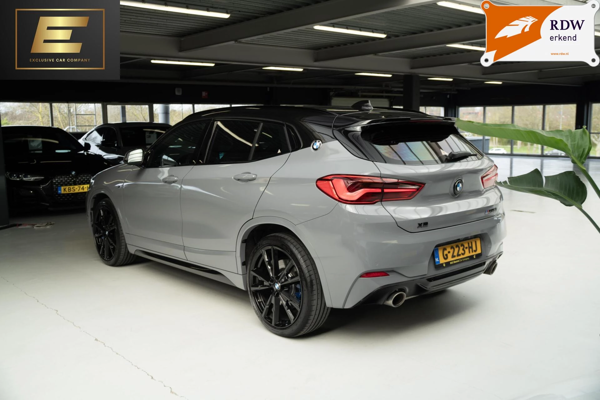 Hoofdafbeelding BMW X2