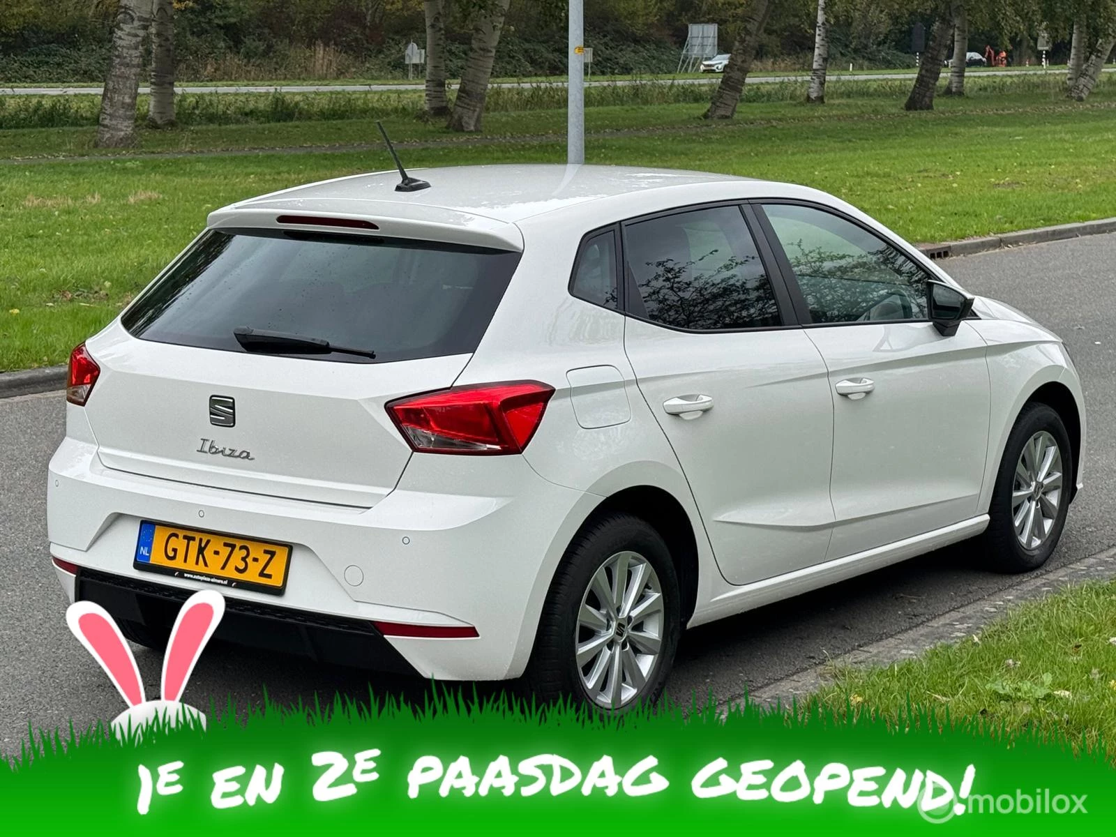 Hoofdafbeelding SEAT Ibiza
