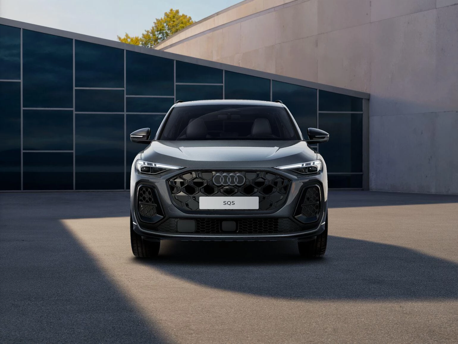 Hoofdafbeelding Audi SQ5