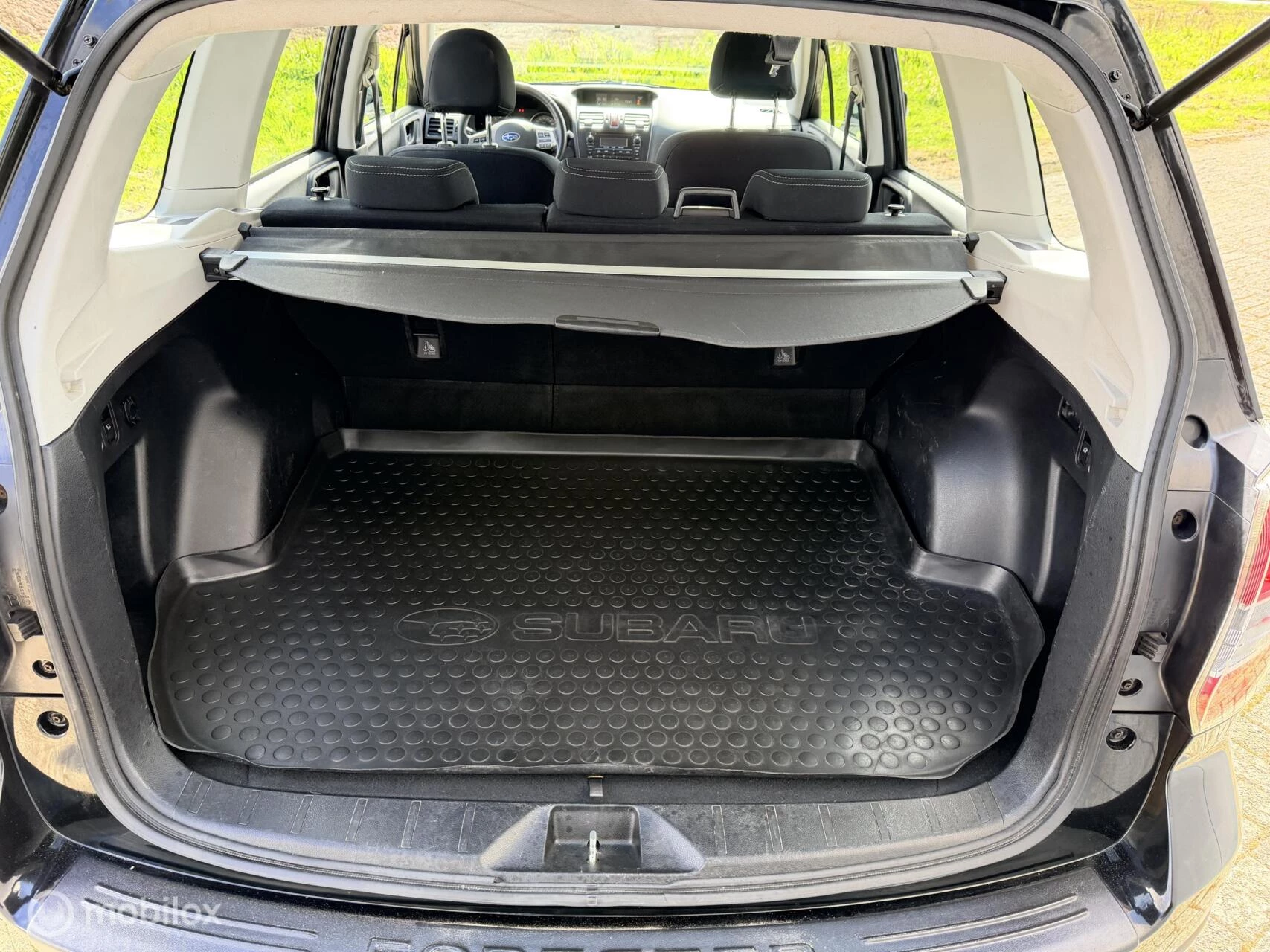 Hoofdafbeelding Subaru Forester