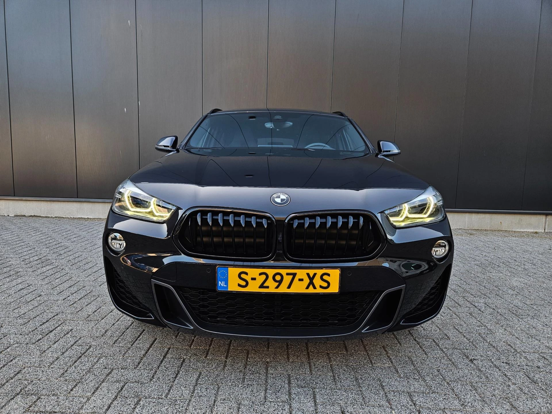 Hoofdafbeelding BMW X2