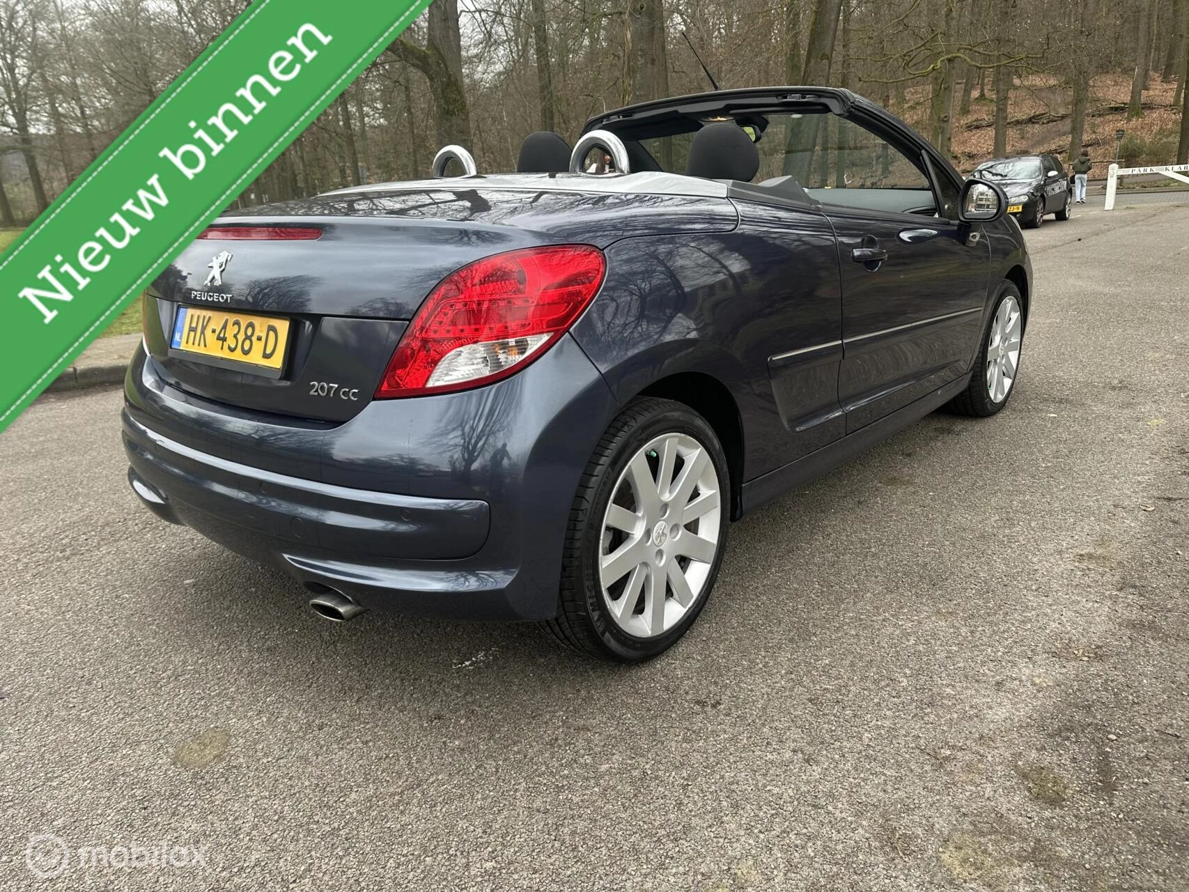 Hoofdafbeelding Peugeot 207